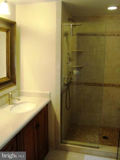 8225 Burnley Road Towson, MD 21204 - Photo 10 of 21 Master Bath