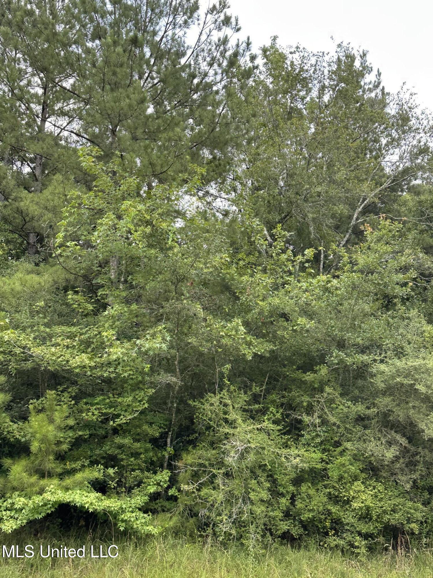 Ms-613 Moss Point, MS 39562 - Photo 2 of 6 IMG_1432