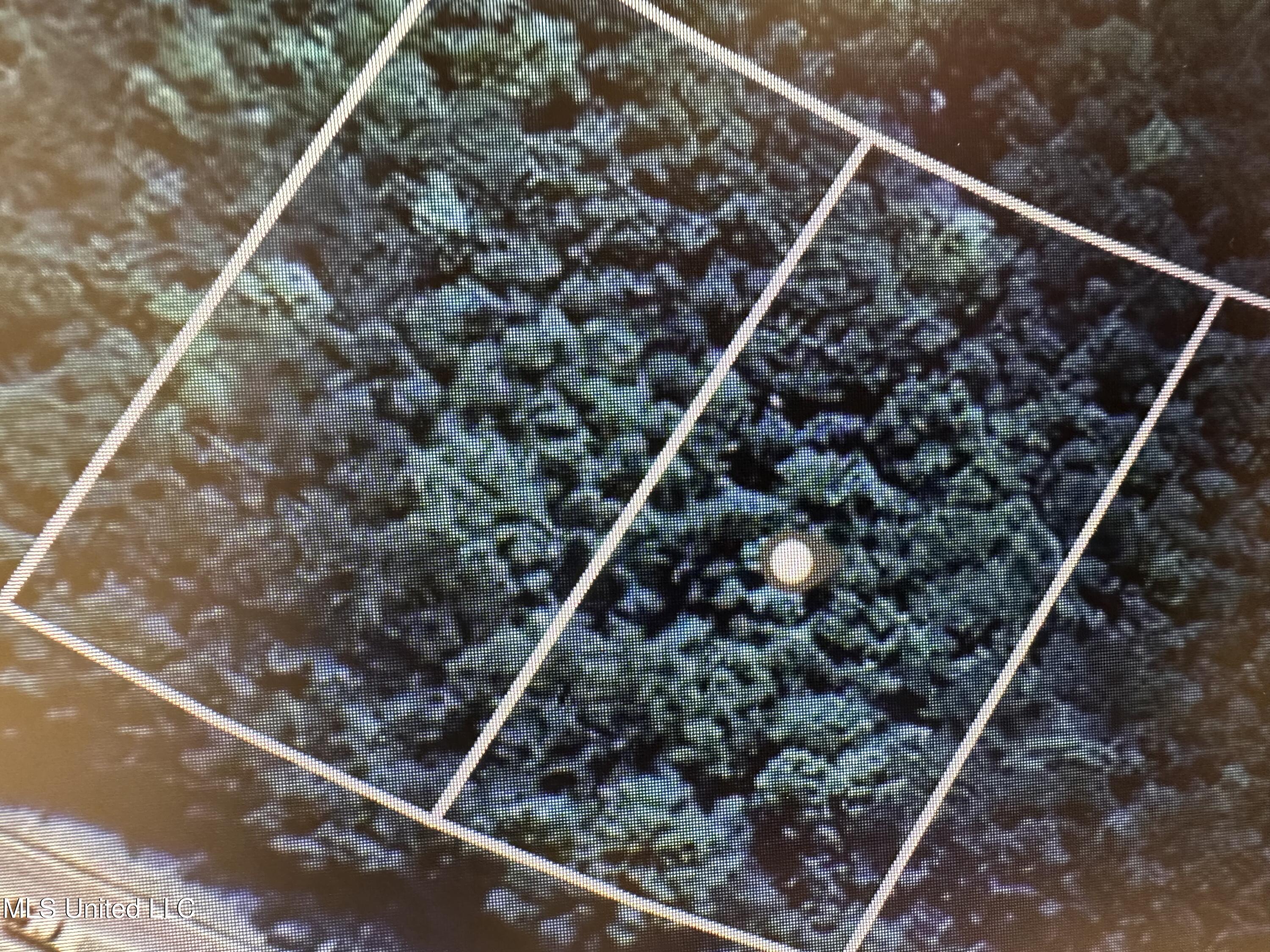 Ms-613 Moss Point, MS 39562 - Photo 3 of 6 IMG_1463