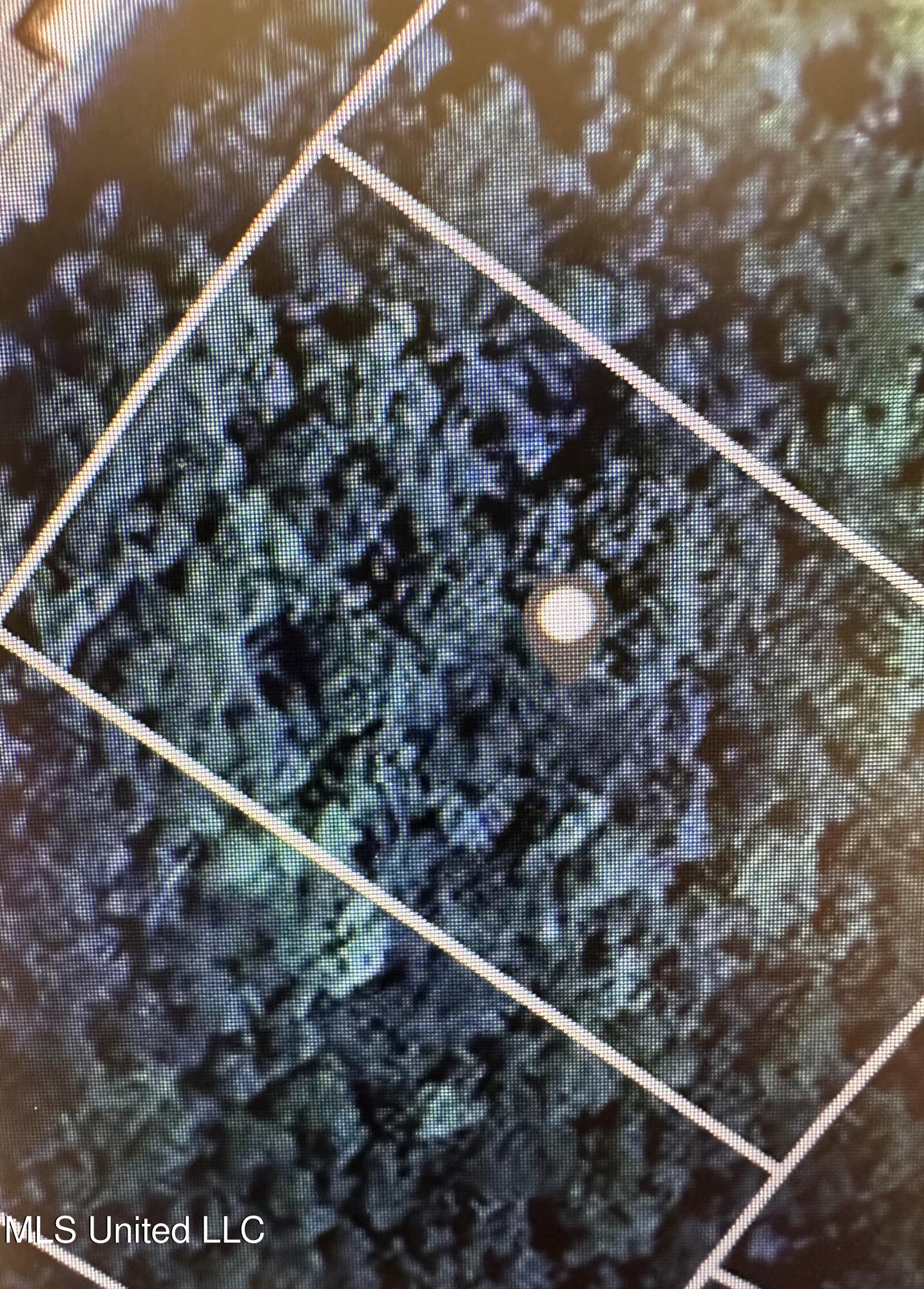 Ms-613 Moss Point, MS 39562 - Photo 4 of 6 IMG_1465