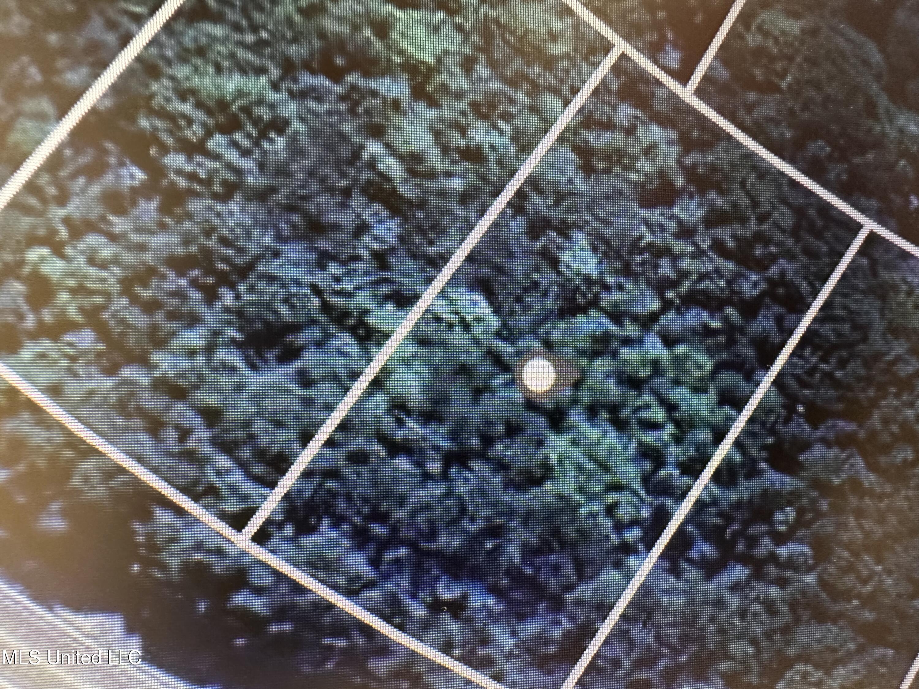 Ms-613 Moss Point, MS 39562 - Photo 5 of 6 IMG_1464