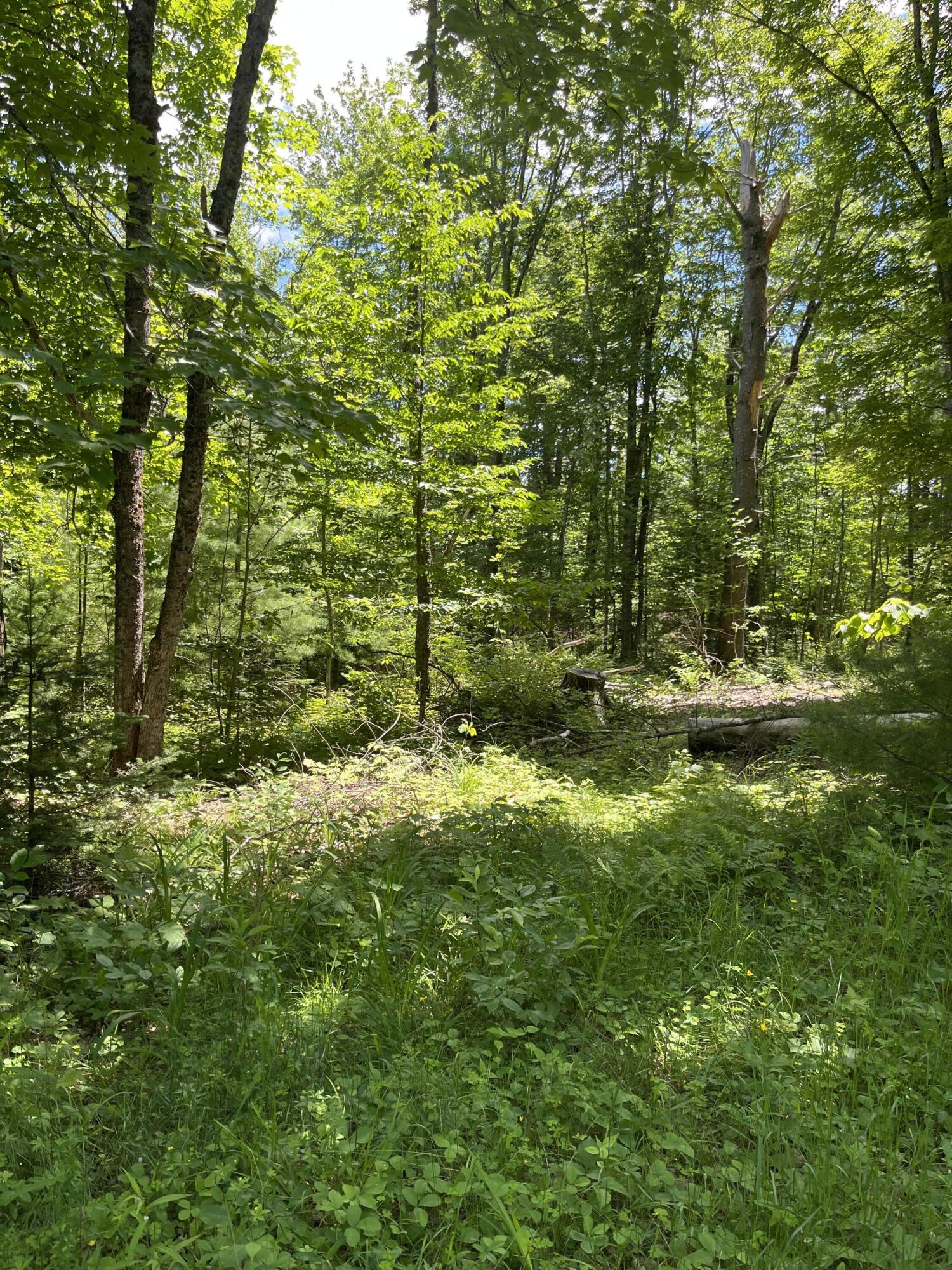 5 Fickett Road Etna, ME 04434 - Photo 5 of 23