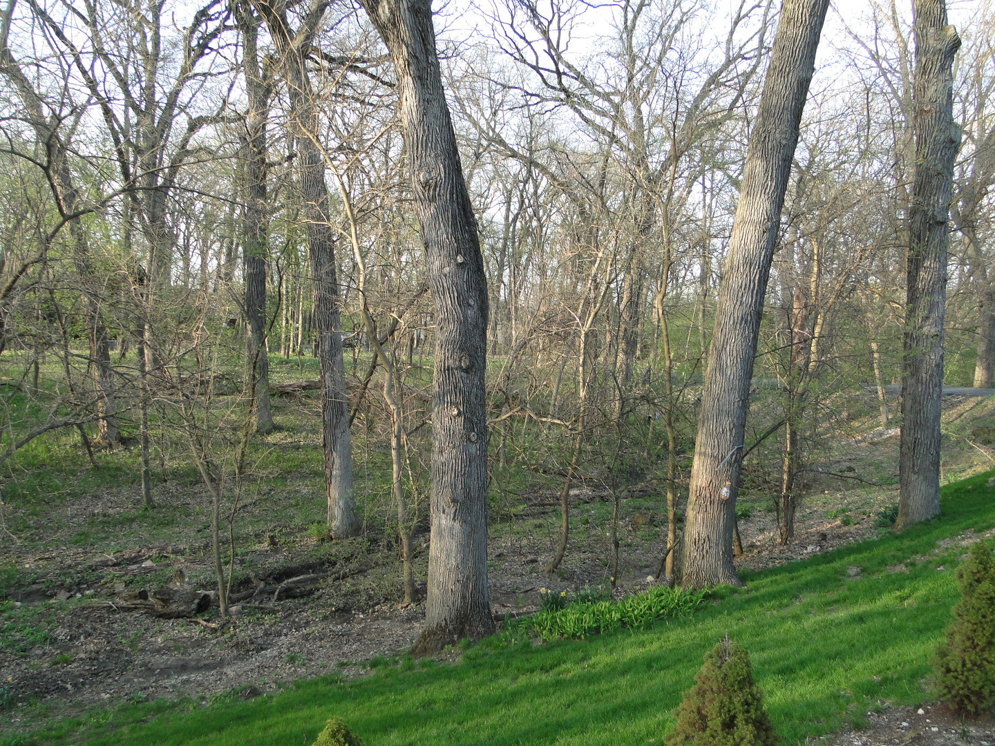 25W550 Royce Road Naperville, IL 60565 - Photo 54 of 59 Gallery Image 54