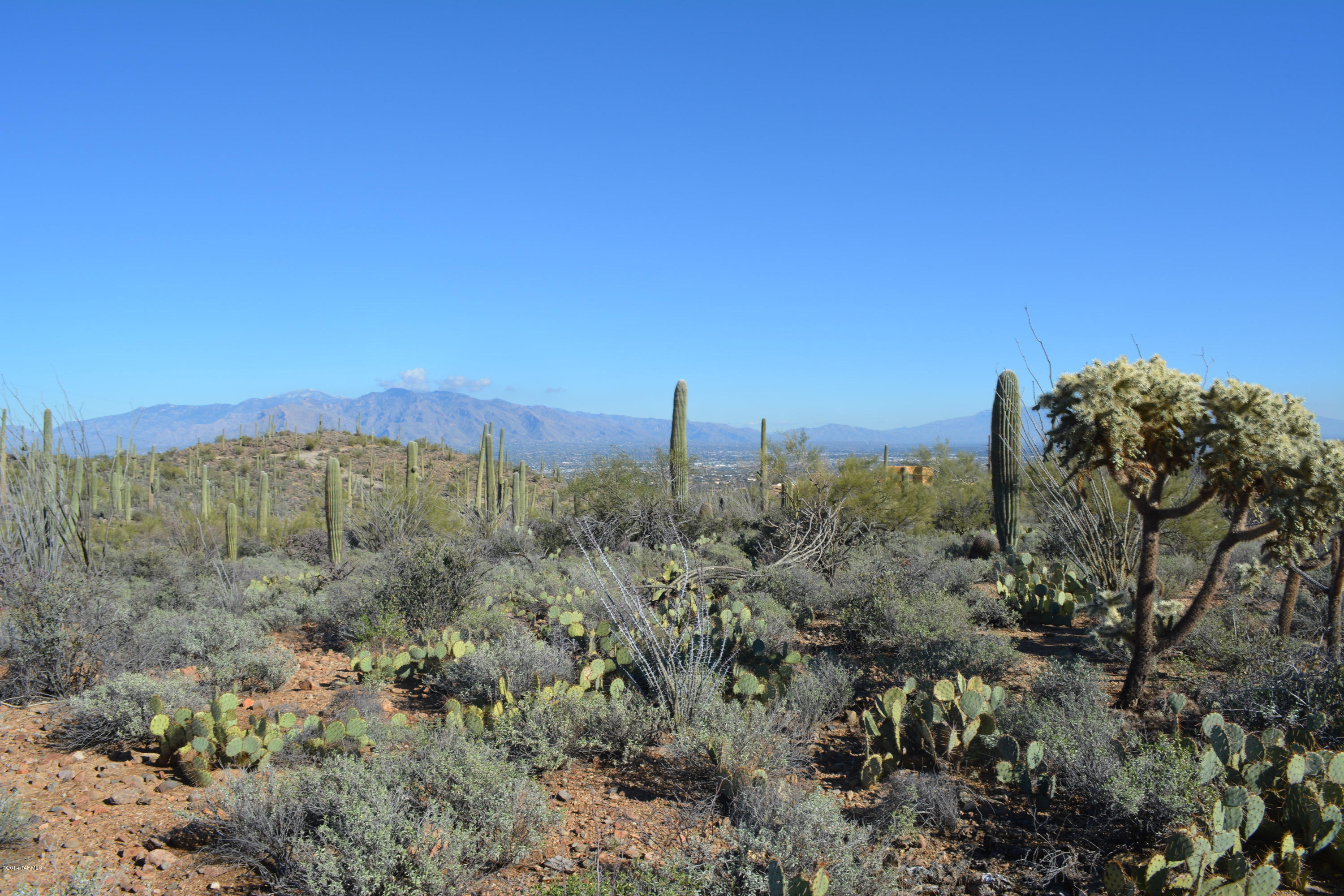 3955 North Broken Spring Trail Tucson, AZ 85745 - Photo 4 of 12
