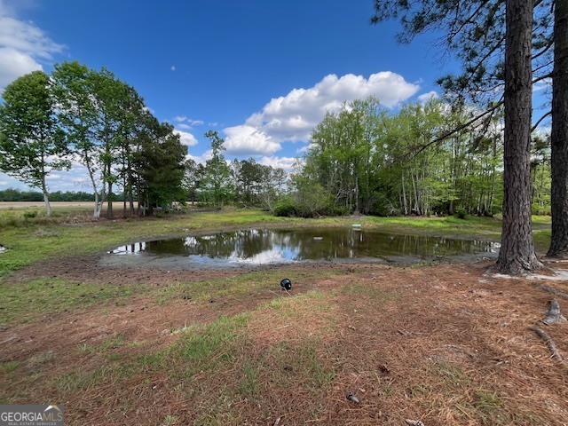 4338 Union Road Metter, GA 30439 - Photo 21 of 26