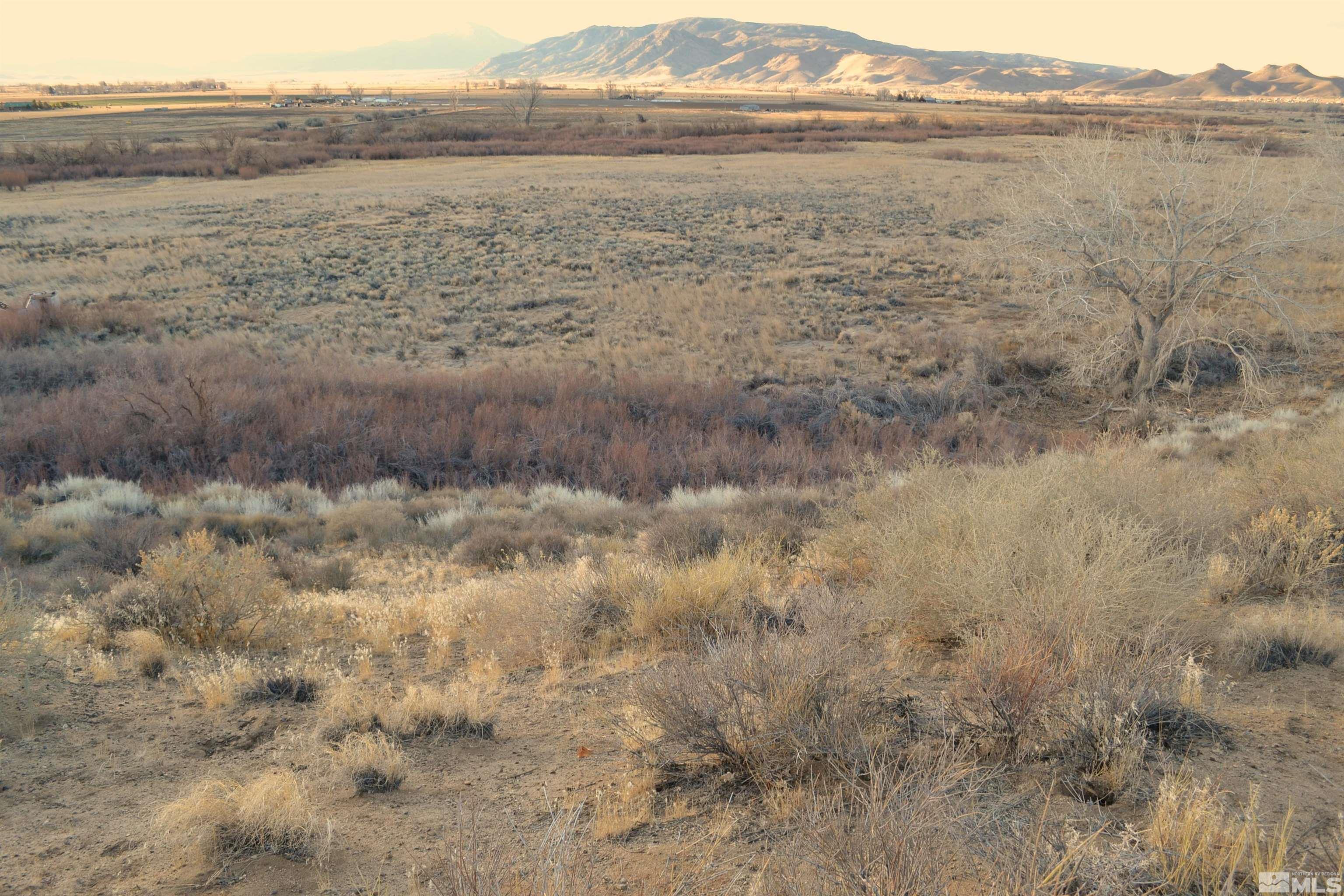 253 Artist View Road Wellington, NV 89444 - Photo 11 of 20 a view of lake view and mountain view