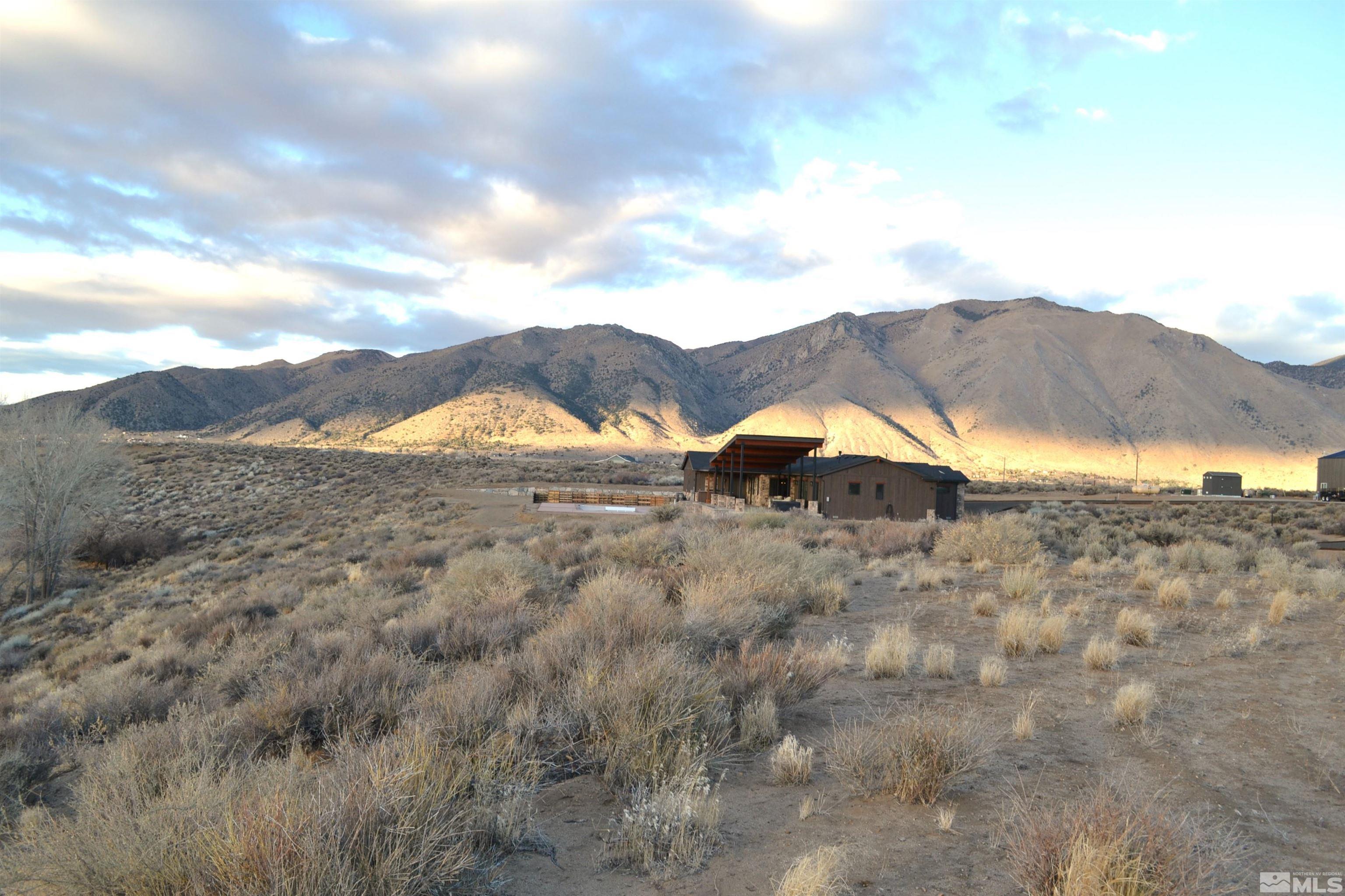 253 Artist View Road Wellington, NV 89444 - Photo 12 of 20 a view of a backyard of the house