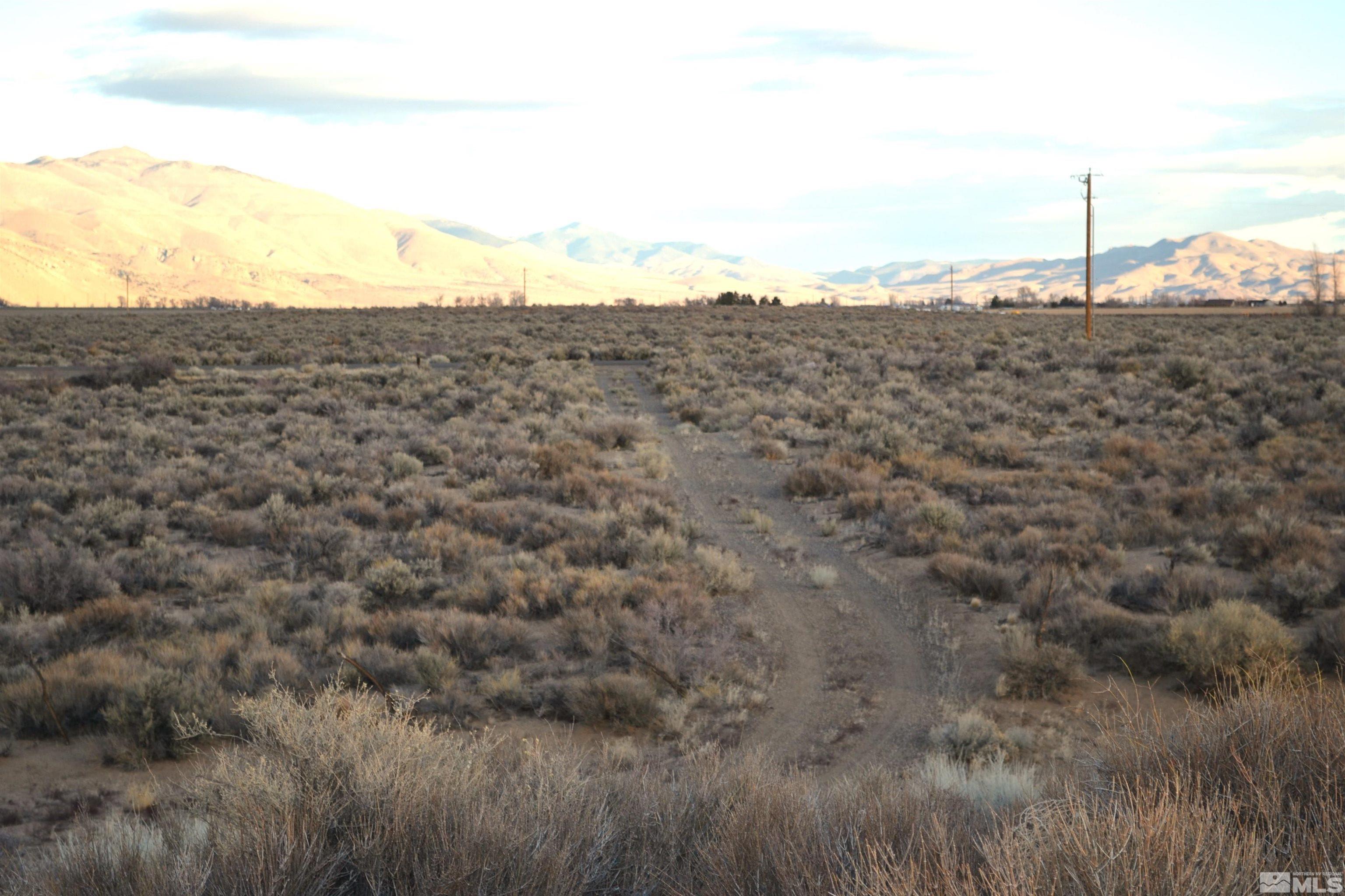253 Artist View Road Wellington, NV 89444 - Photo 13 of 20 a view of a dry yard with mountain