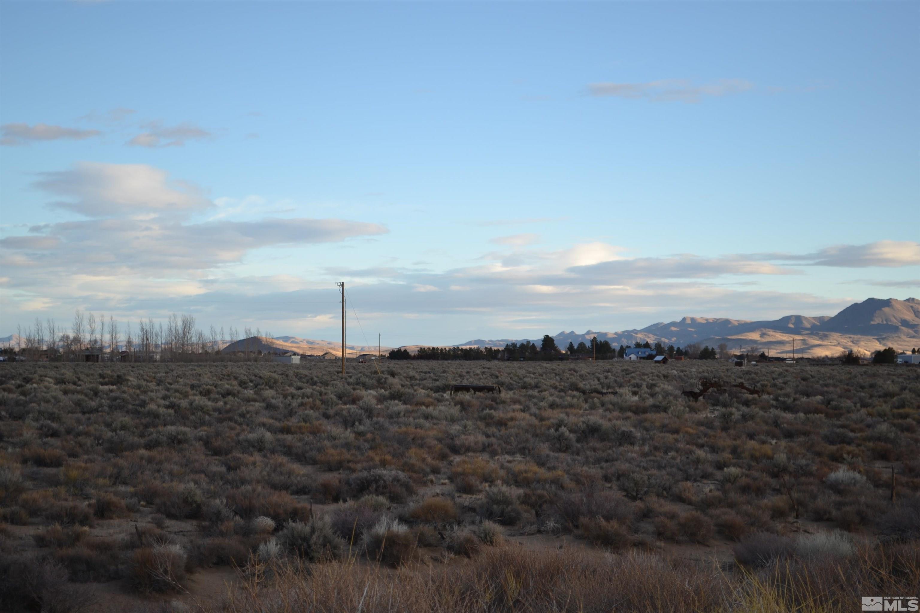 253 Artist View Road Wellington, NV 89444 - Photo 17 of 20 a view of a sky