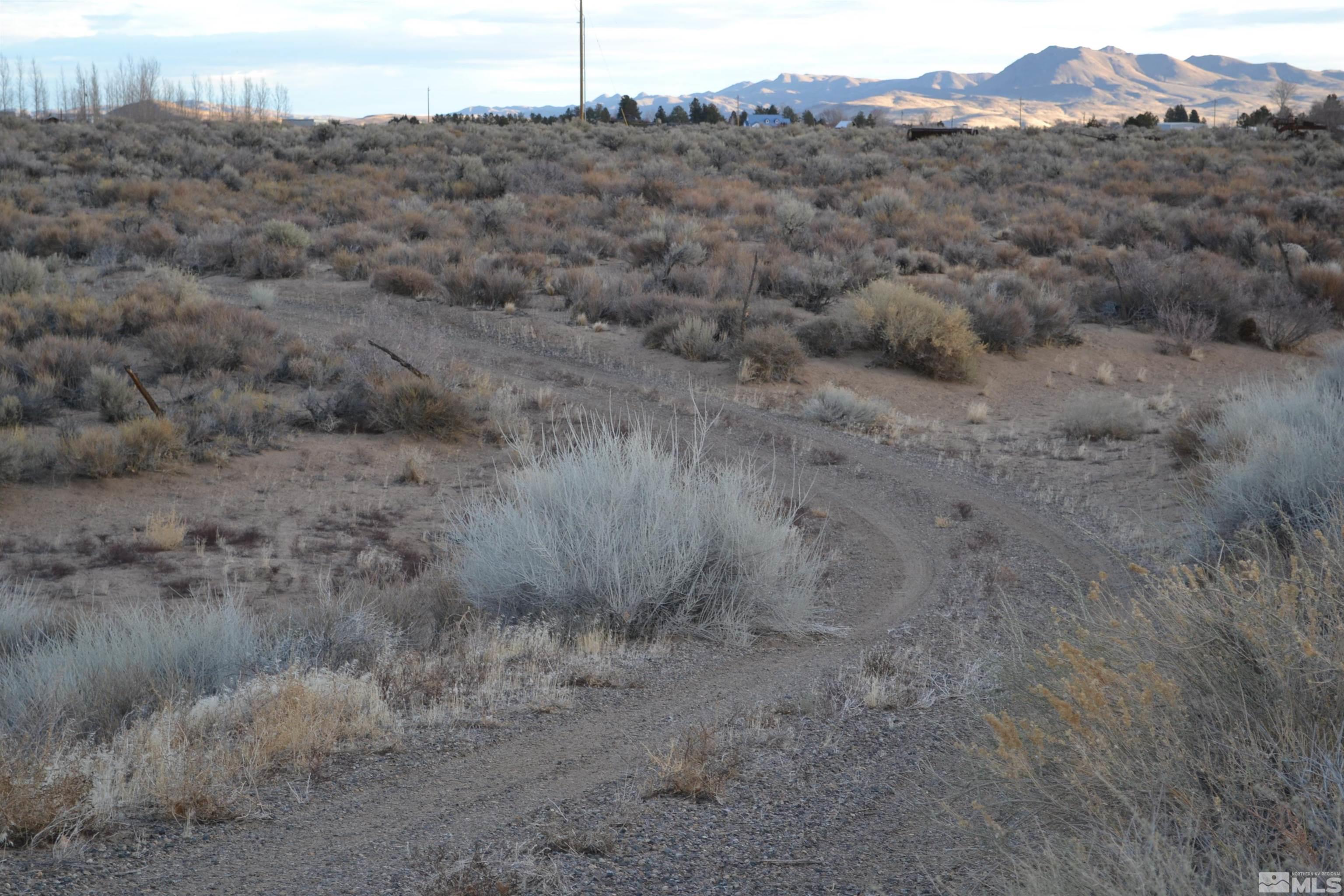 253 Artist View Road Wellington, NV 89444 - Photo 18 of 20 a view of a dry field