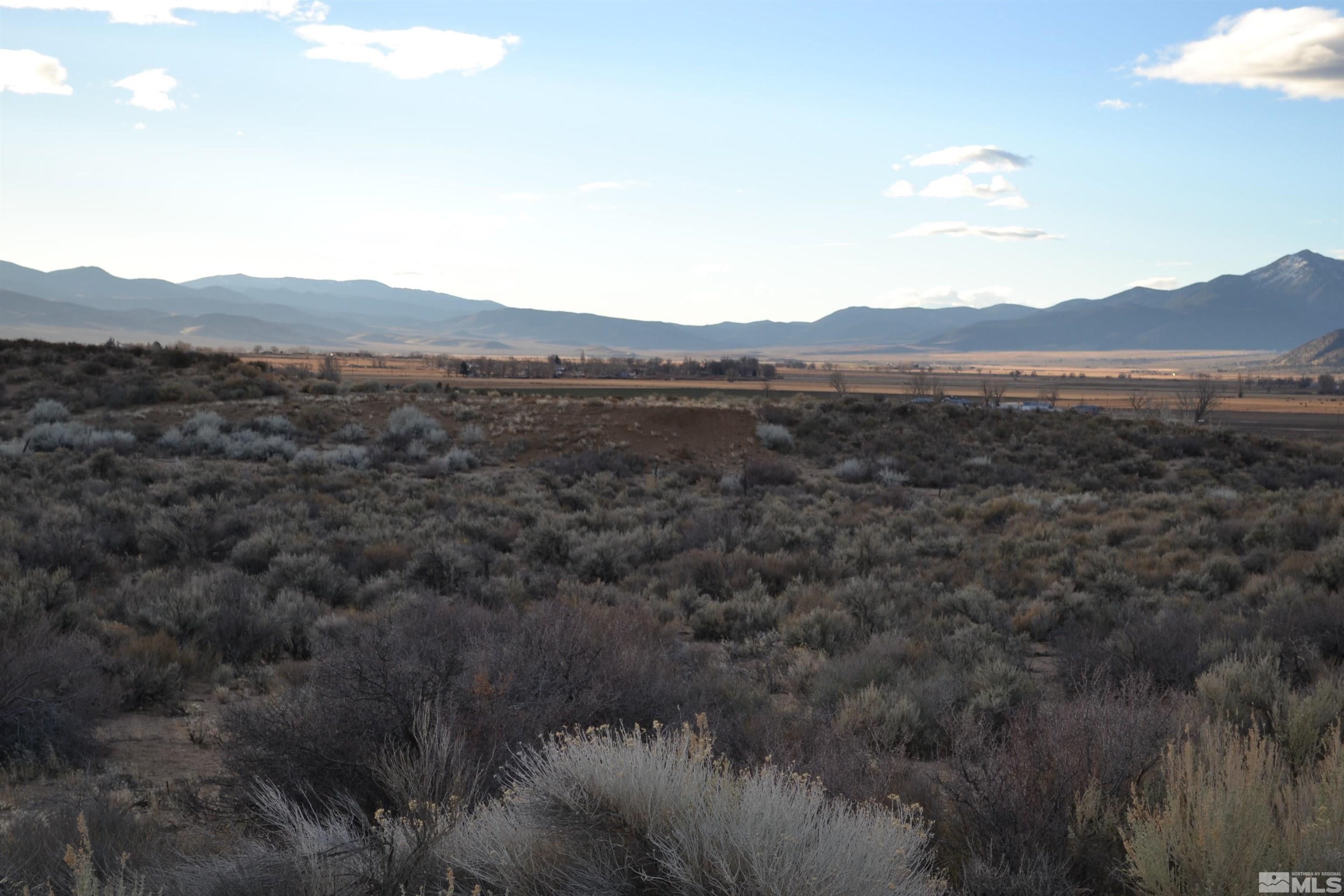 253 Artist View Road Wellington, NV 89444 - Photo 19 of 20 a view of a lush green forest with mountains in the background