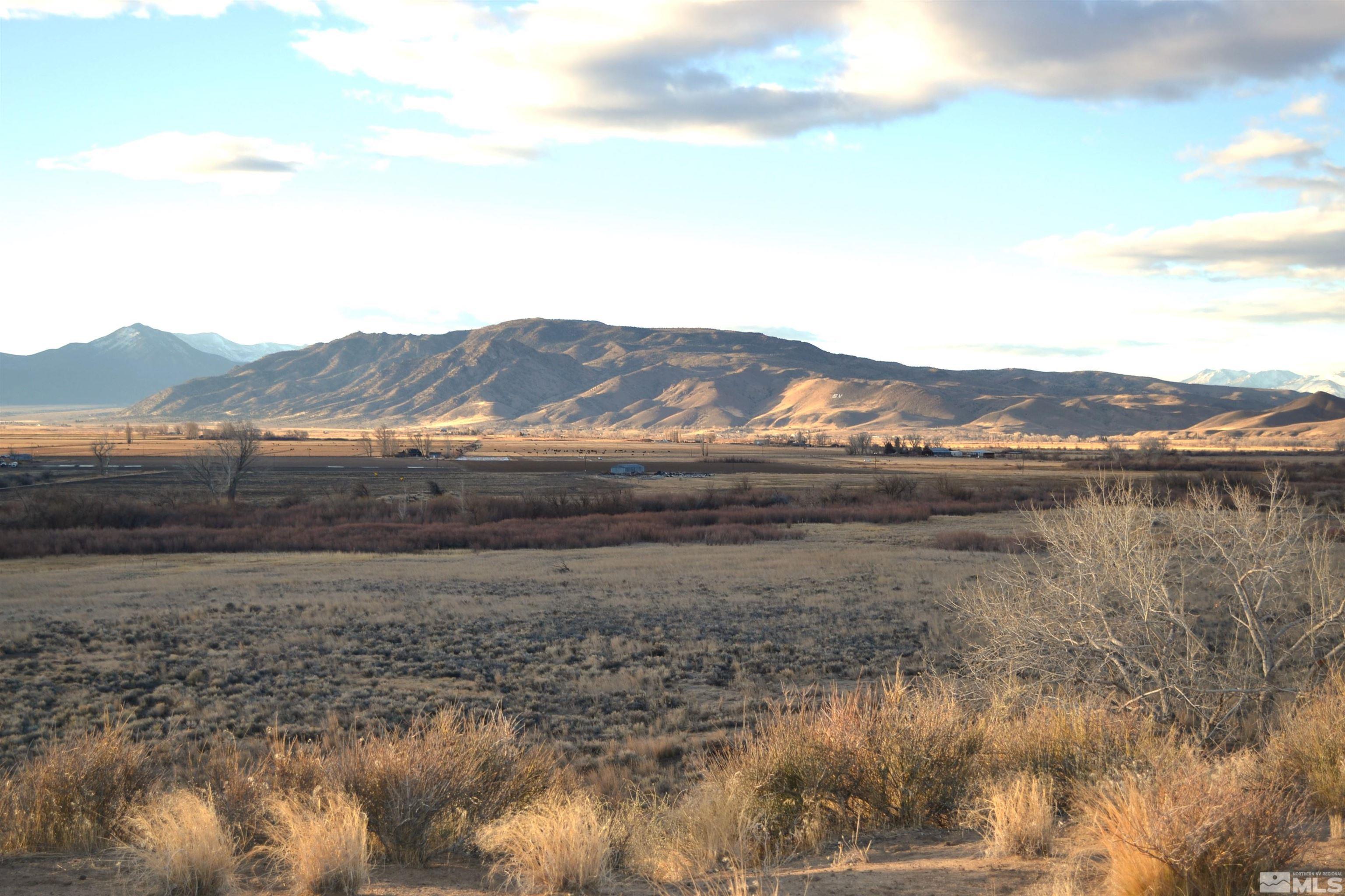 253 Artist View Road Wellington, NV 89444 - Photo 6 of 20 a view of a lake with mountains in the background