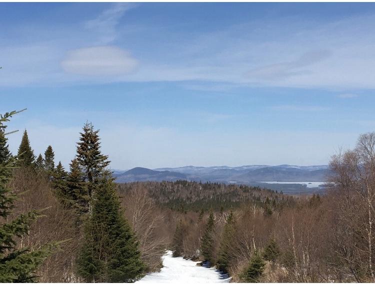 Lot 8 East Lot Road West Forks, ME 04985 - Photo 3 of 12 10D521A2-7D18-4312-8CAF-AD7503BADD49
