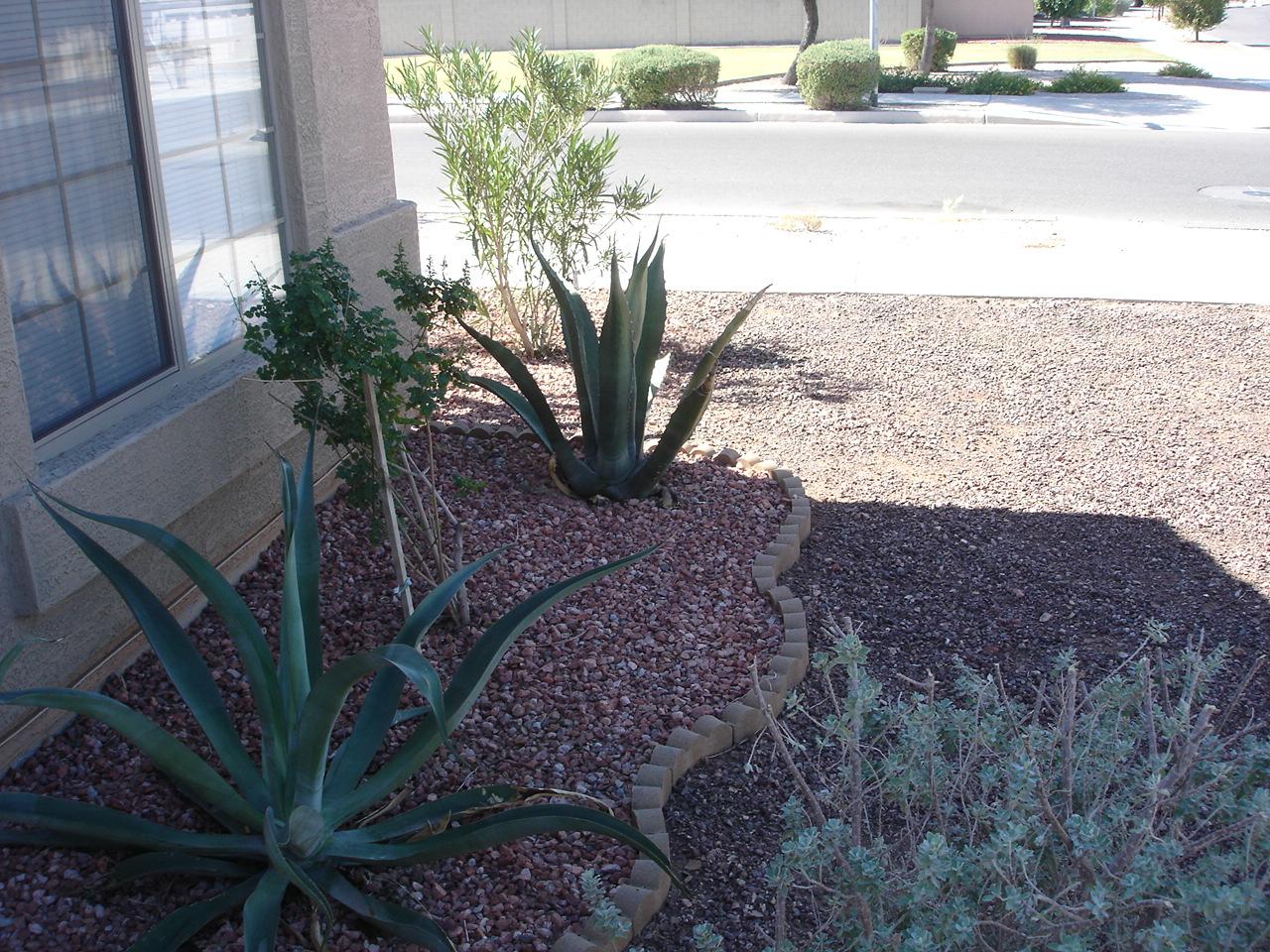 1113 West Maldonado Road Phoenix, AZ 85041 - Photo 4 of 10 landscaping