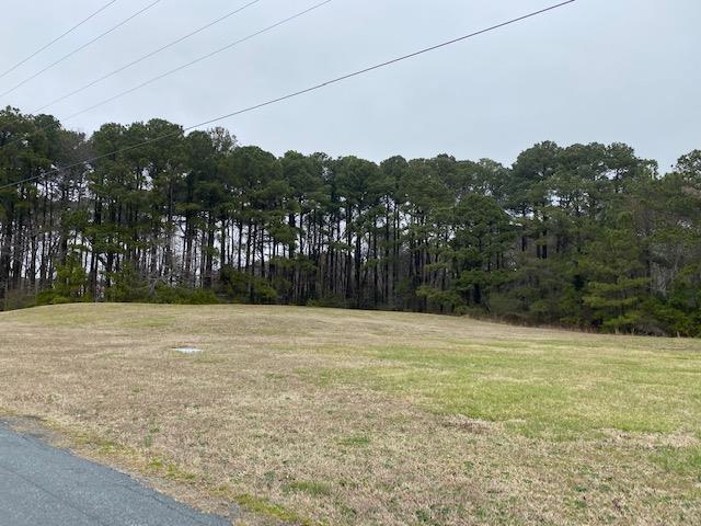 1 Gargatha Landing Road, Unit 1 Parksley, VA 23421 - Photo 1 of 2