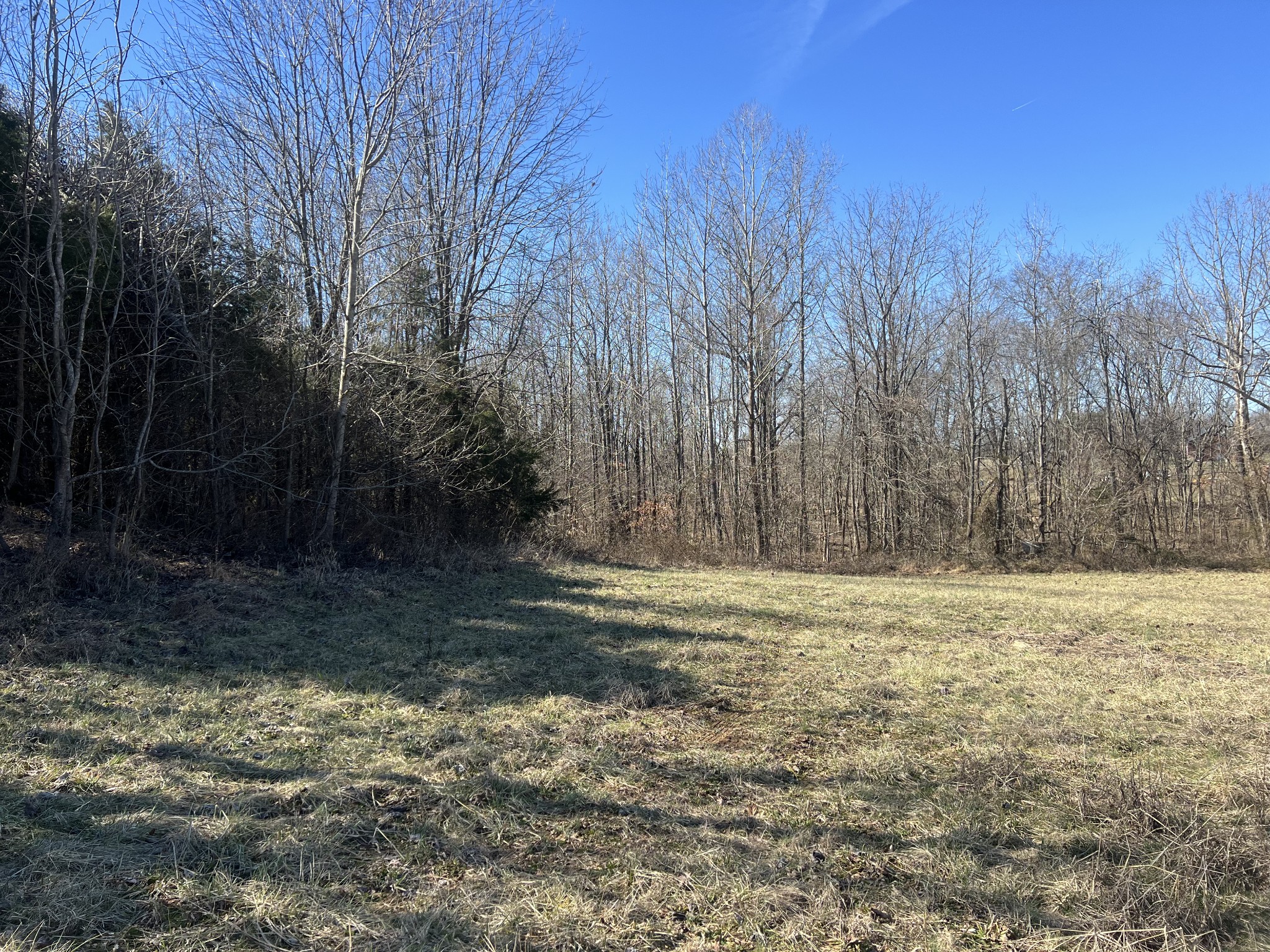 7 Marion Road Princeton, KY 42445 - Photo 2 of 7 a view of a yard with trees in the background