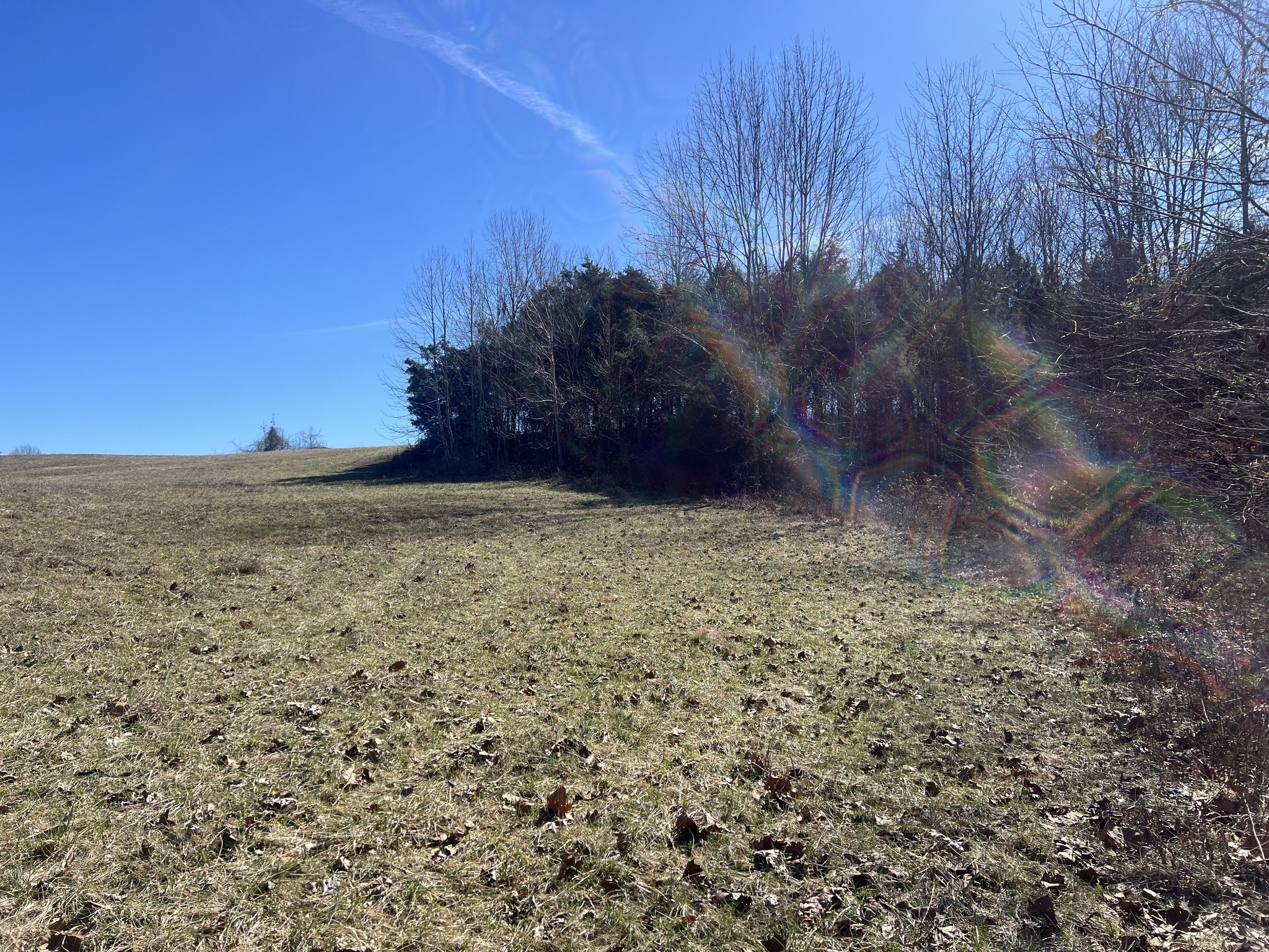 7 Marion Road Princeton, KY 42445 - Photo 4 of 7