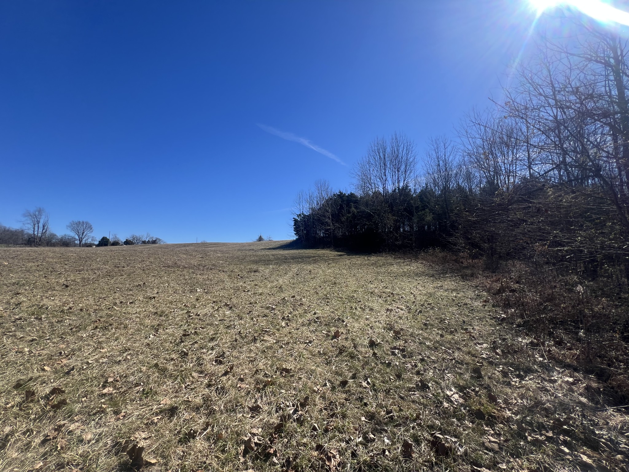7 Marion Road Princeton, KY 42445 - Photo 6 of 7 a view of a yard