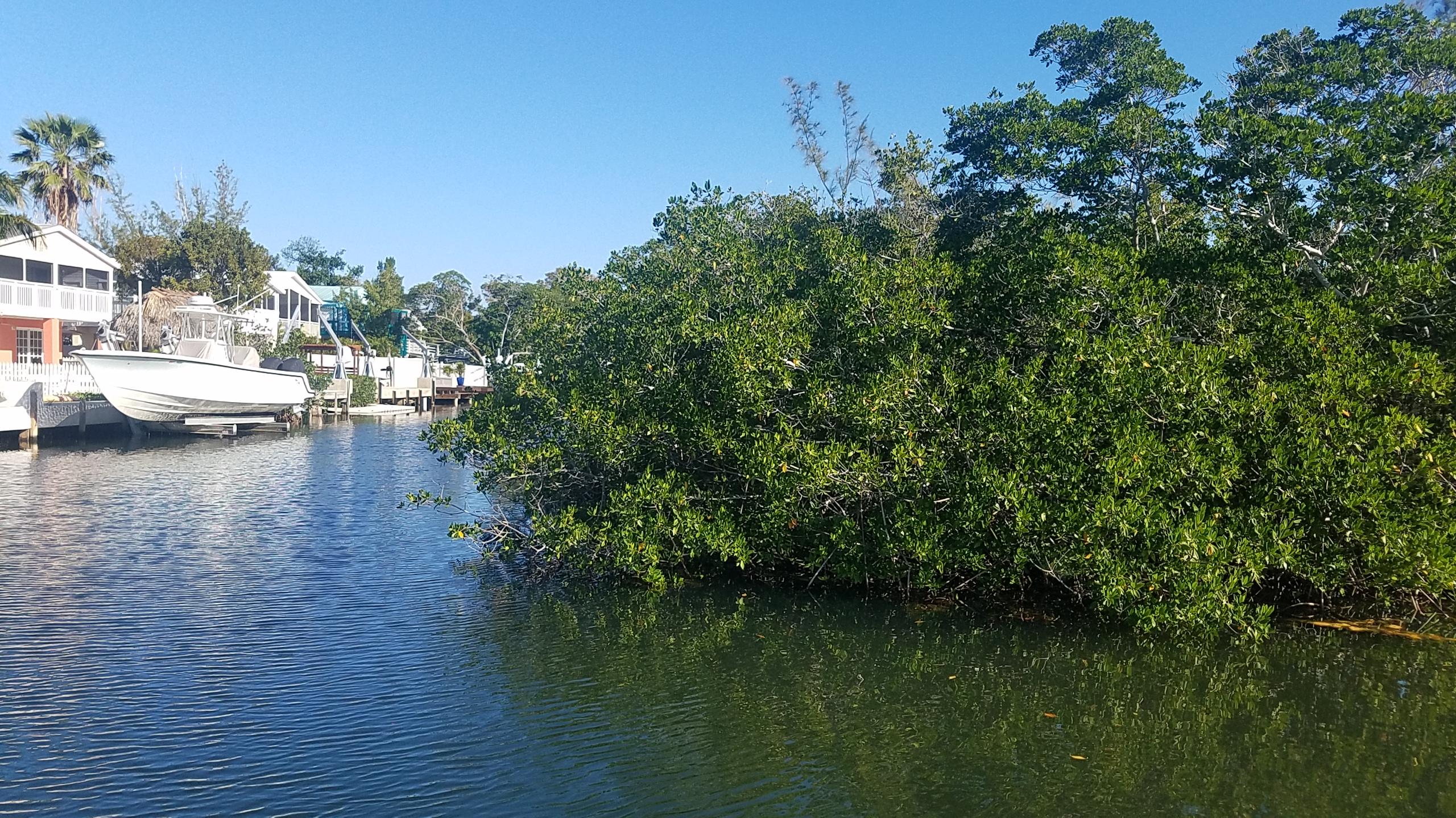 849 Cardinal Lane Key Largo, FL 33037 - Photo 8 of 9 Across the canal