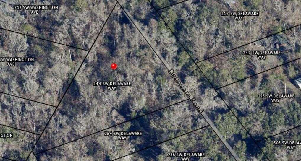 244 Southwest Delaware Way Fort White, FL 32038 - Photo 4 of 11