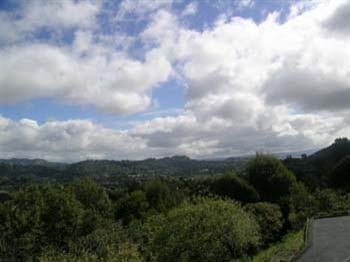 210 South Ridgewood Road Kentfield, CA 94904 - Photo 2 of 3 a view of city and green trees
