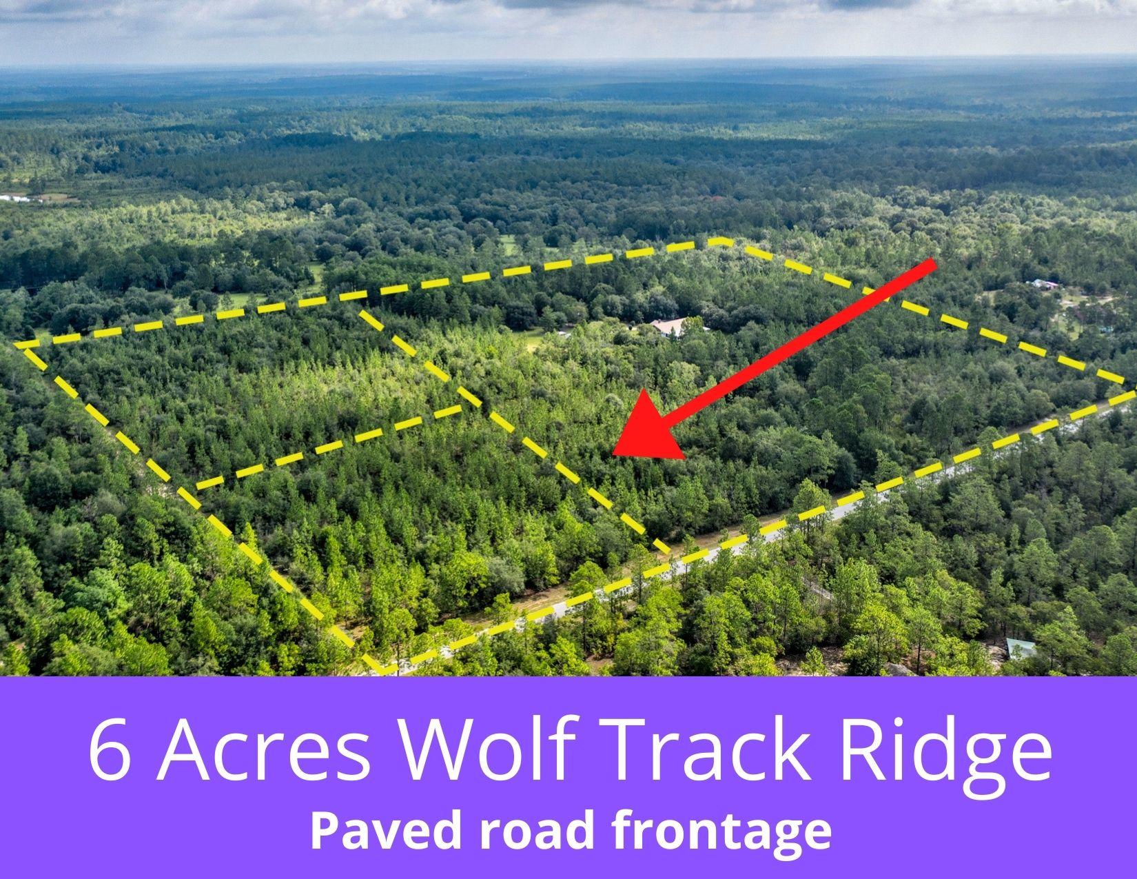 6 Wolf Track Ridge Crestview, FL 32539 - Photo 1 of 6 Wolf Track Pic2