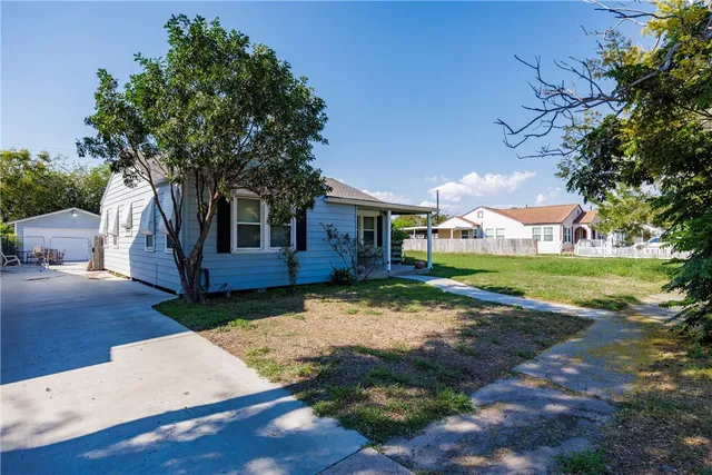 a view of a yard with plants and a large tree