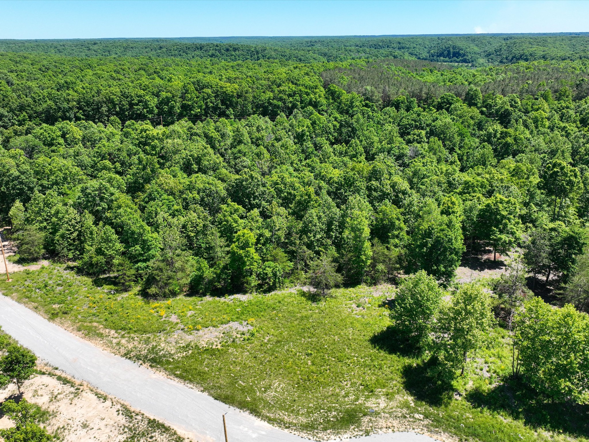 321 Ridgetop Road Hohenwald, TN 38462 - Photo 9 of 11