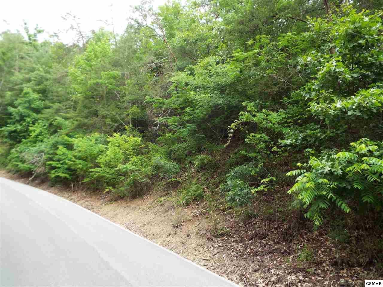 15 Sunset Road Sevierville, TN 37862 - Photo 8 of 19