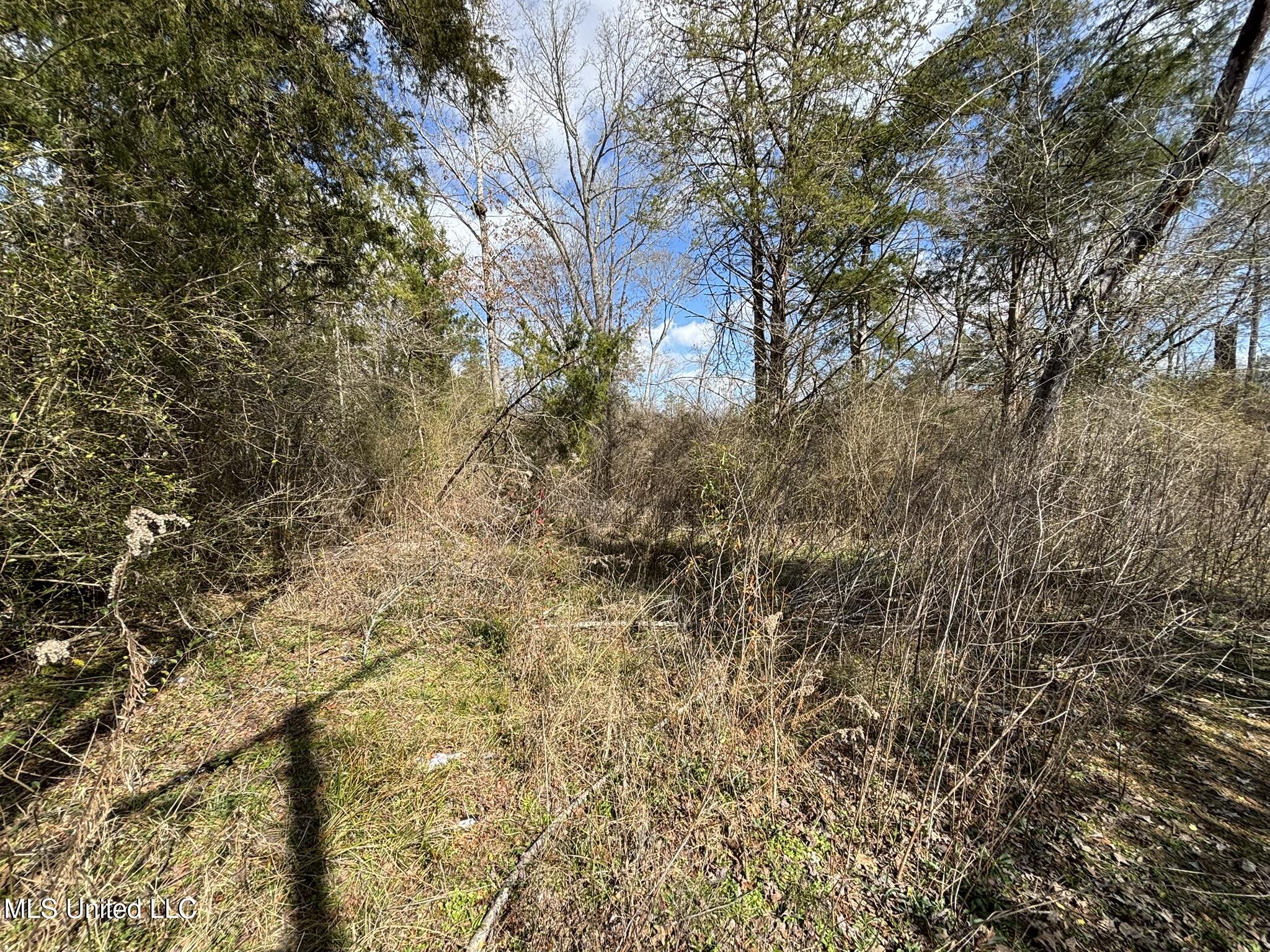 0 Dunn Road Jackson, MS 39212 - Photo 1 of 10 IMG_3370
