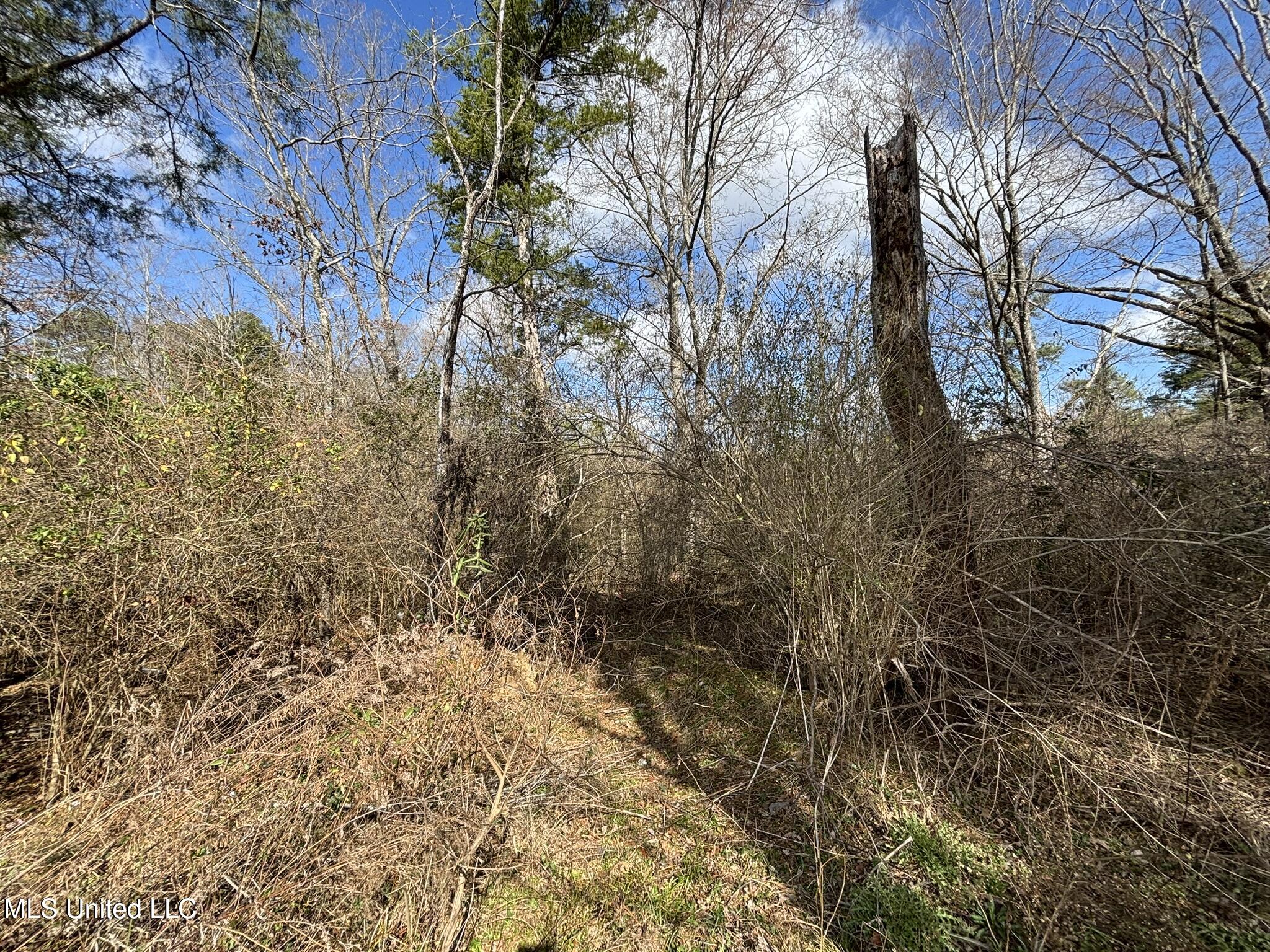 0 Dunn Road Jackson, MS 39212 - Photo 2 of 10 IMG_3371