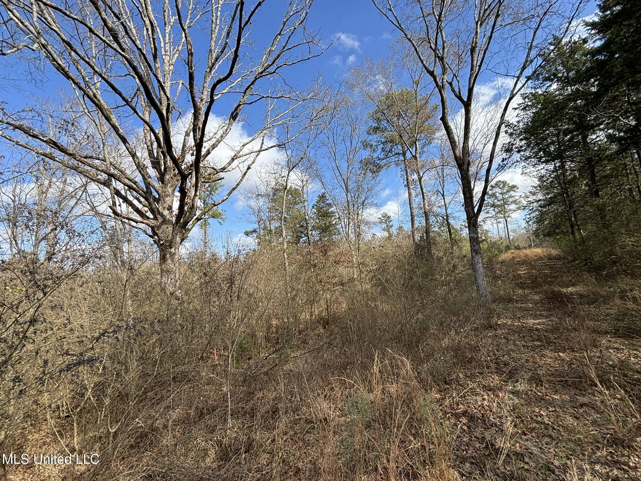 0 Dunn Road Jackson, MS 39212 - Photo 5 of 10 IMG_3374