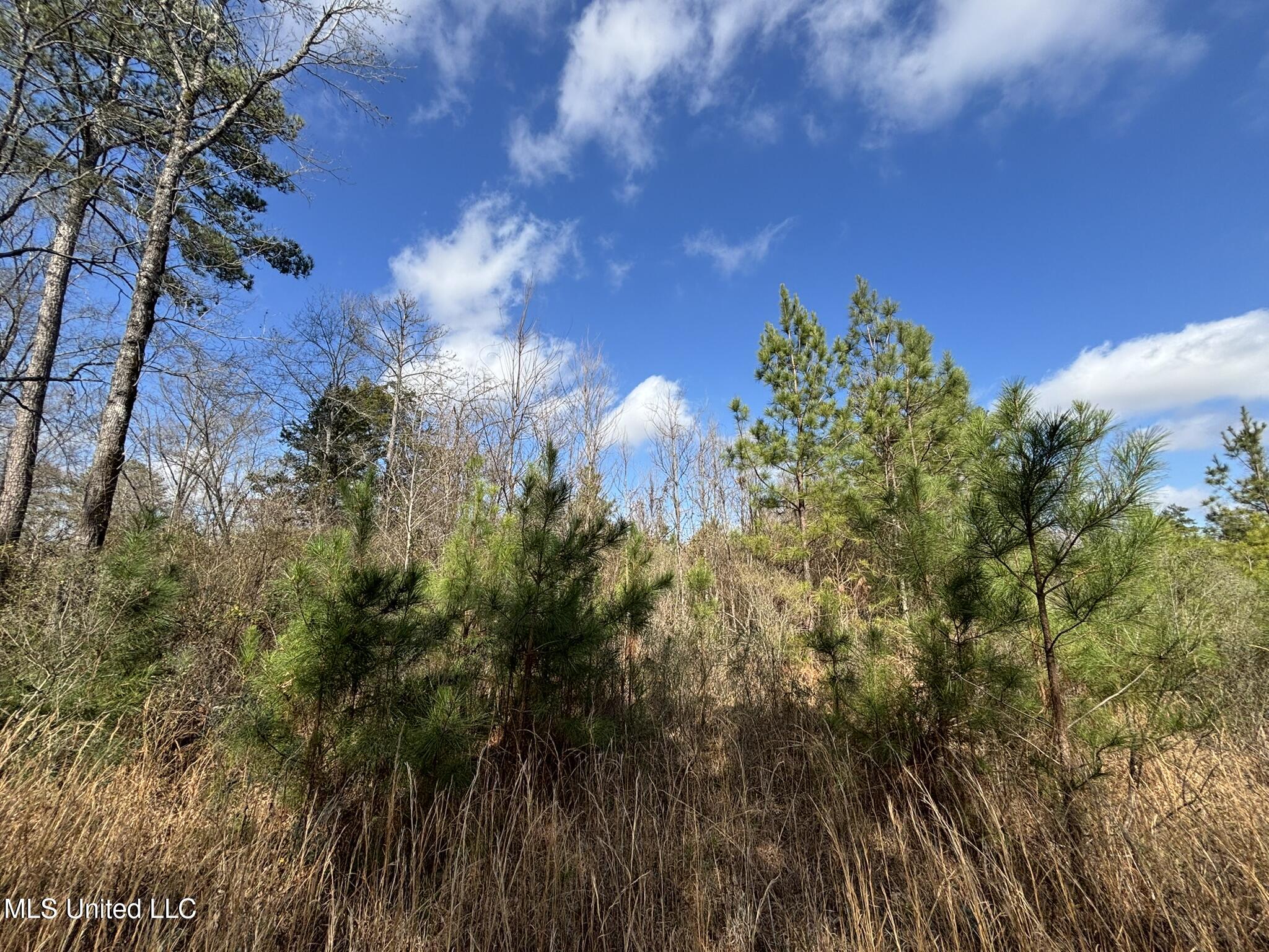 0 Dunn Road Jackson, MS 39212 - Photo 6 of 10 IMG_3375
