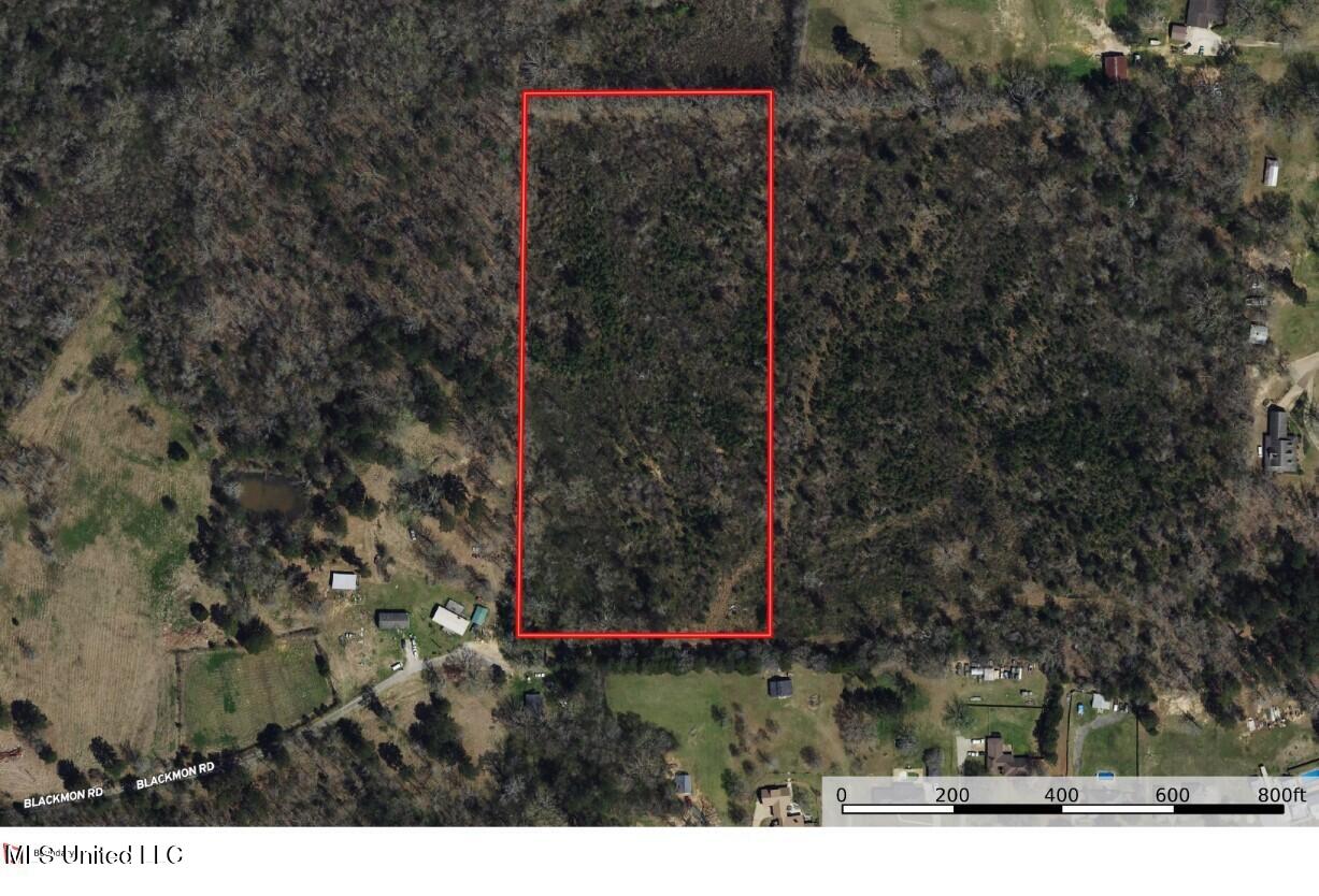 0 Dunn Road Jackson, MS 39212 - Photo 8 of 10 Parcel Layout 10 hinds
