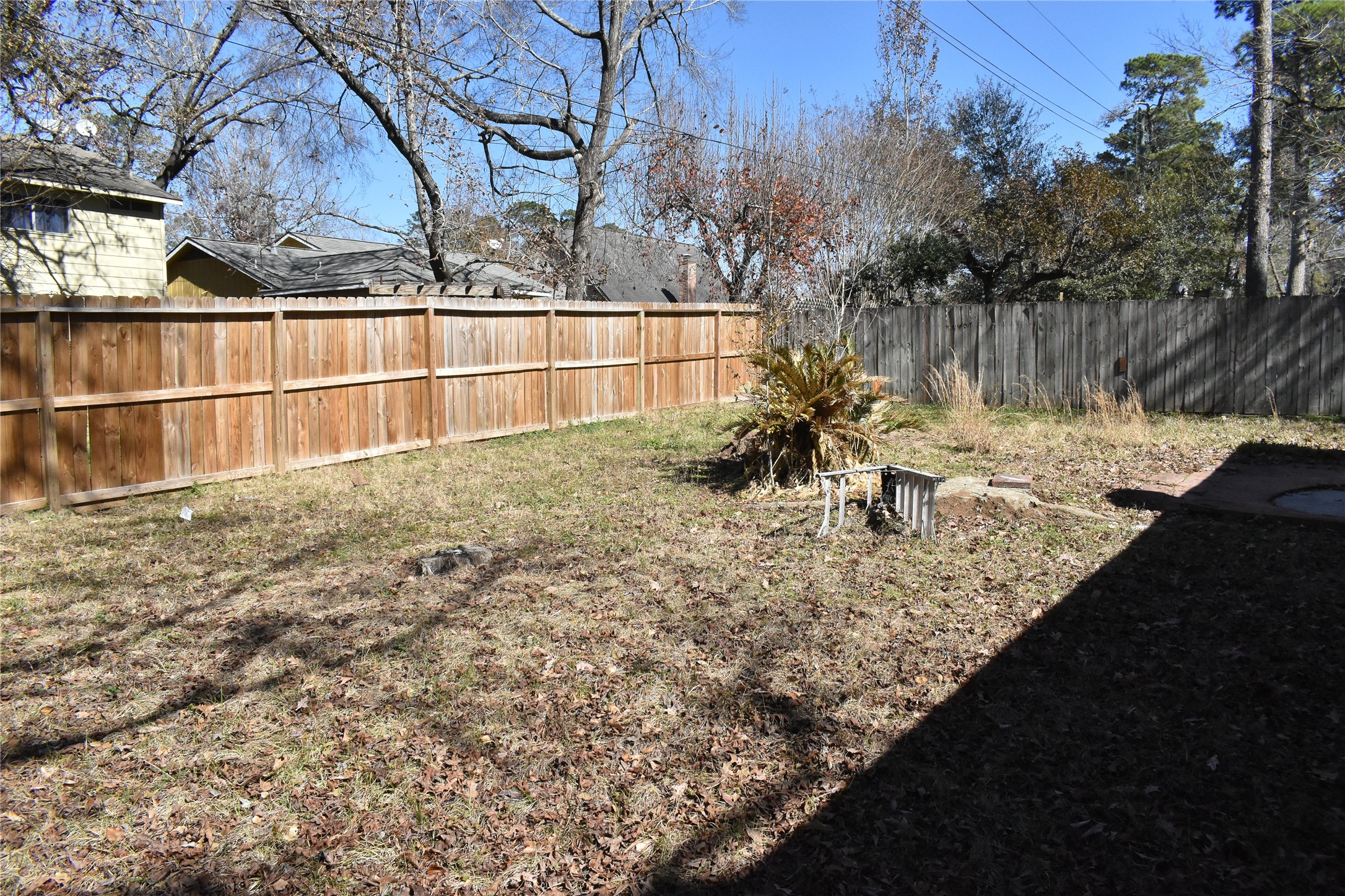 3514 Valerie Lane Spring, TX 77380 - Photo 21 of 23