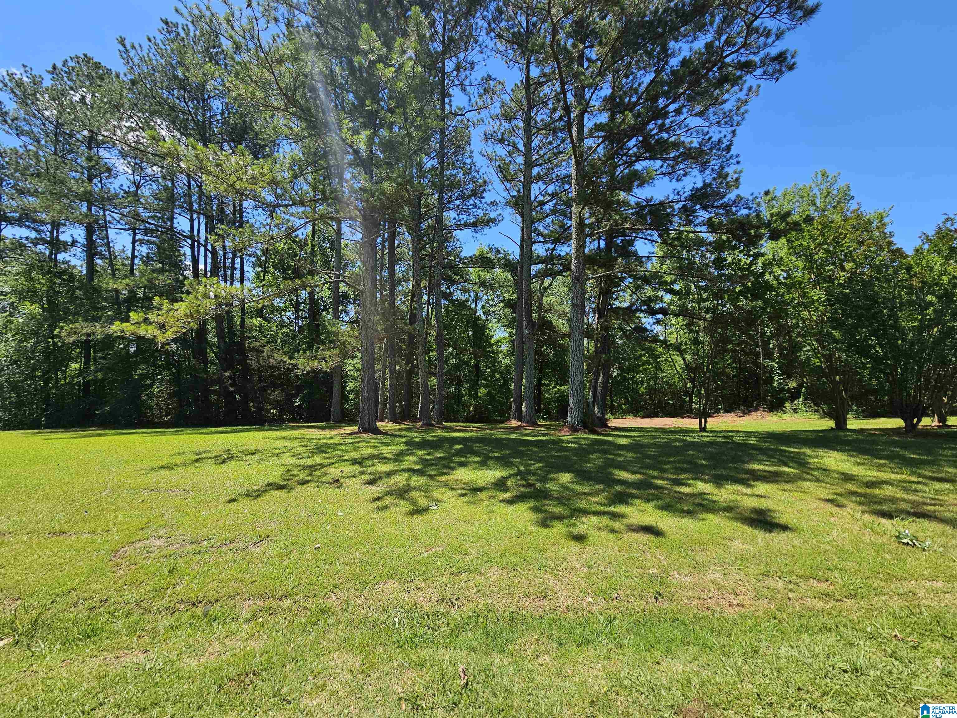 4293 Mudd Street Lincoln, AL 35096 - Photo 18 of 21