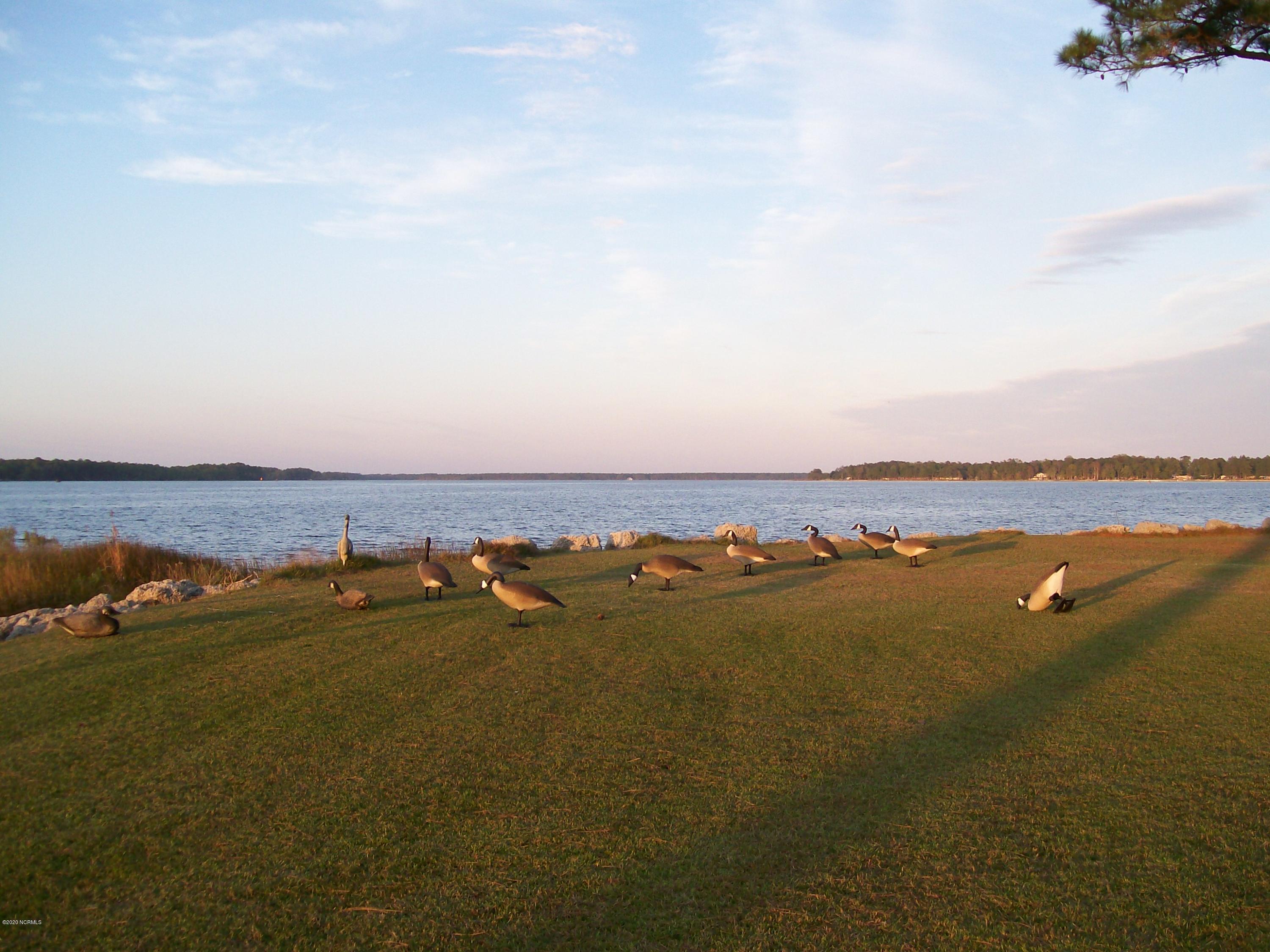 1068 Murphy Farm Road Merritt, NC 28556 - Photo 1 of 5 River Front