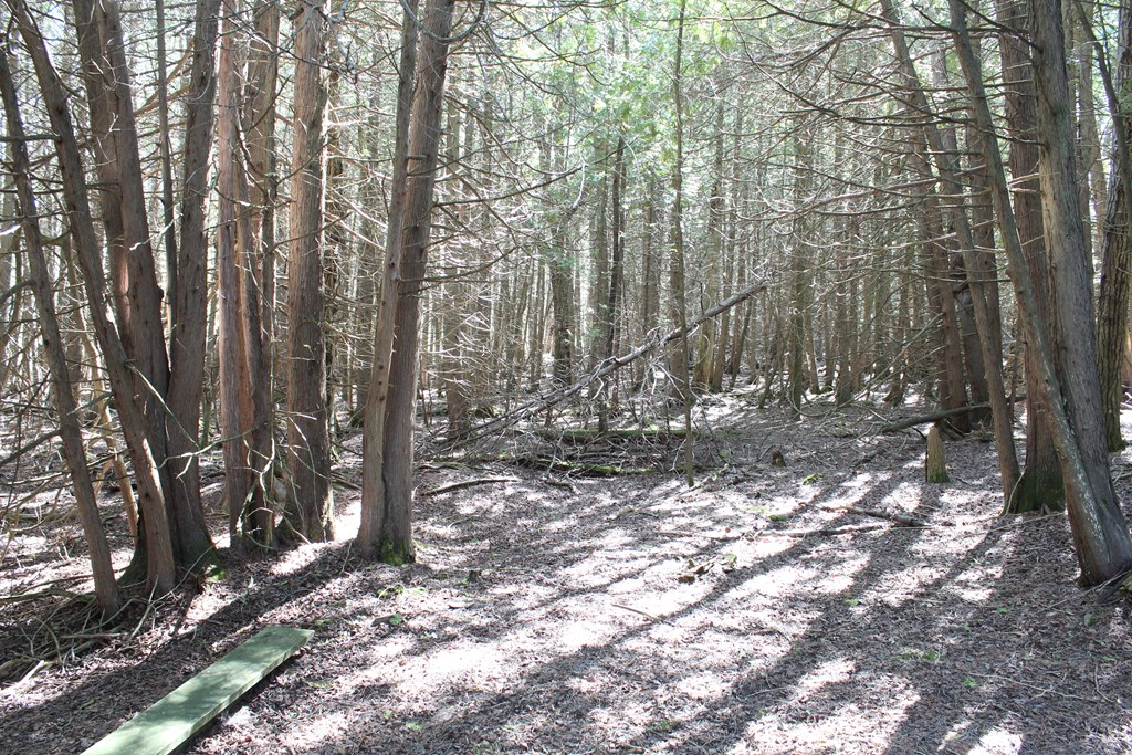 11250 Frontier Road Ellison Bay, WI 54210 - Photo 25 of 27