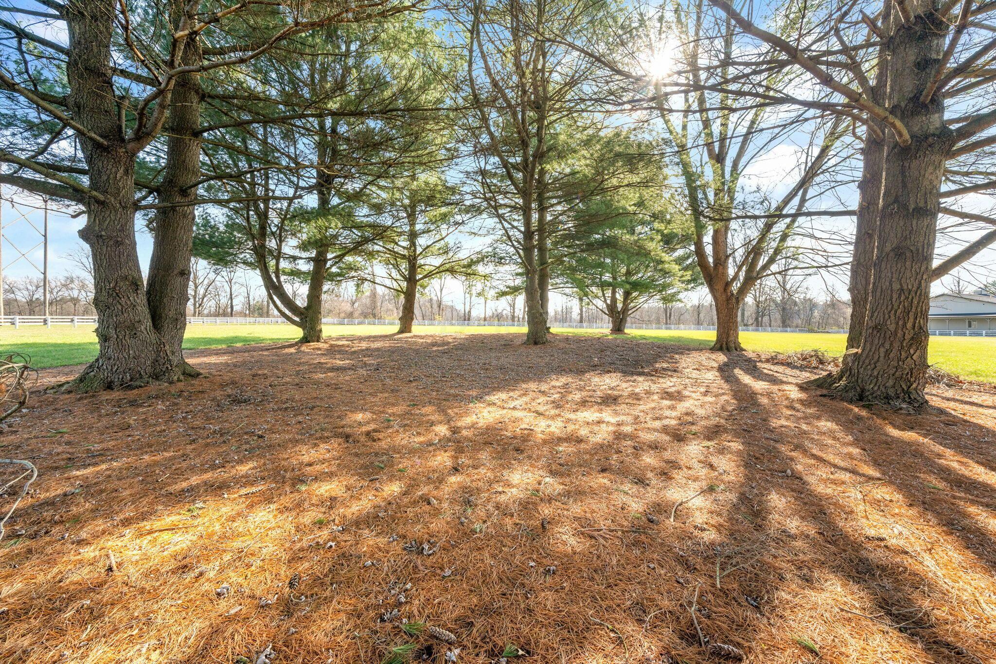 3450 Mann Road Blacklick, OH 43004 - Photo 121 of 134 Pastures