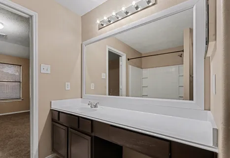 a bathroom with a sink and a mirror