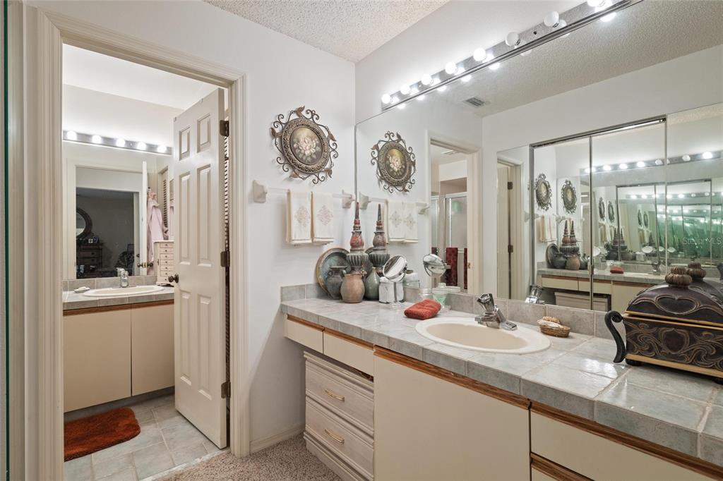 1801 East Lake Road South, Unit 5A Palm Harbor, FL 34685 - Photo 17 of 22 a bathroom with double vanity sinks a vanity a lamp and a mirror