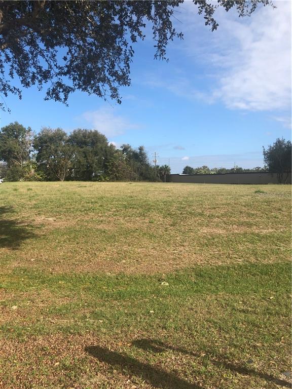 0 State Road Eustis, FL 32736 - Photo 1 of 1