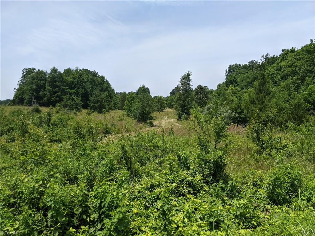5269 Cook Collier Road Liberty, NC 27298 - Photo 3 of 3 Gallery Image 3