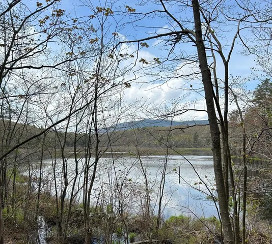 $235,000 | 0 Windmill Hill Road, Unit MAP 3 LOT 62B, Dublin, NH 03444