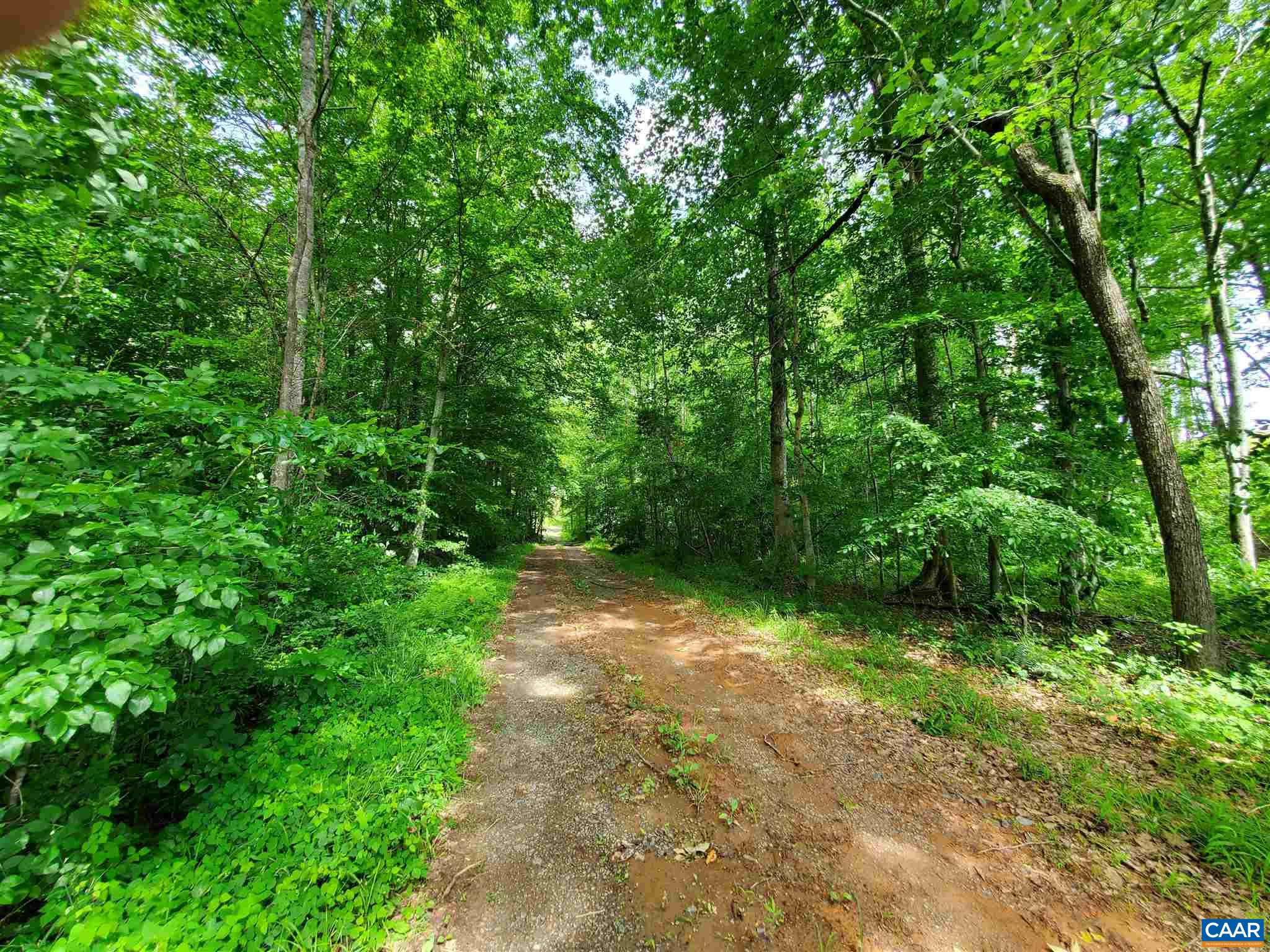 3060 Stage Junction Road Columbia, VA 23038 - Photo 19 of 34 a view of a yard with large trees