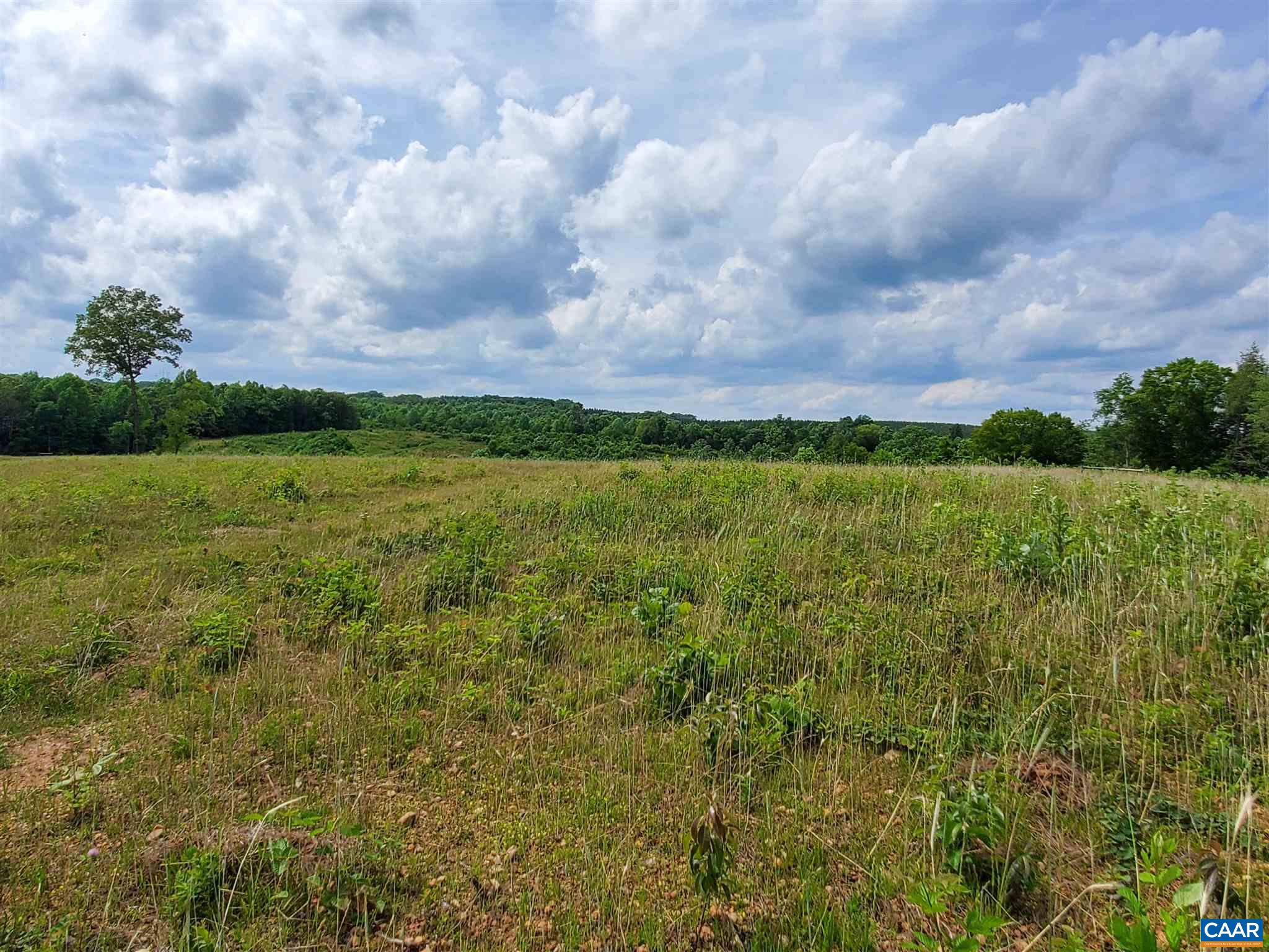 3060 Stage Junction Road Columbia, VA 23038 - Photo 24 of 34 a view of a big yard with plants and a large tree