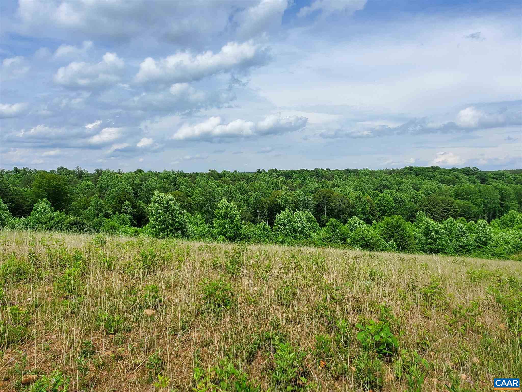 3060 Stage Junction Road Columbia, VA 23038 - Photo 25 of 34 a view of a garden with an outdoor space