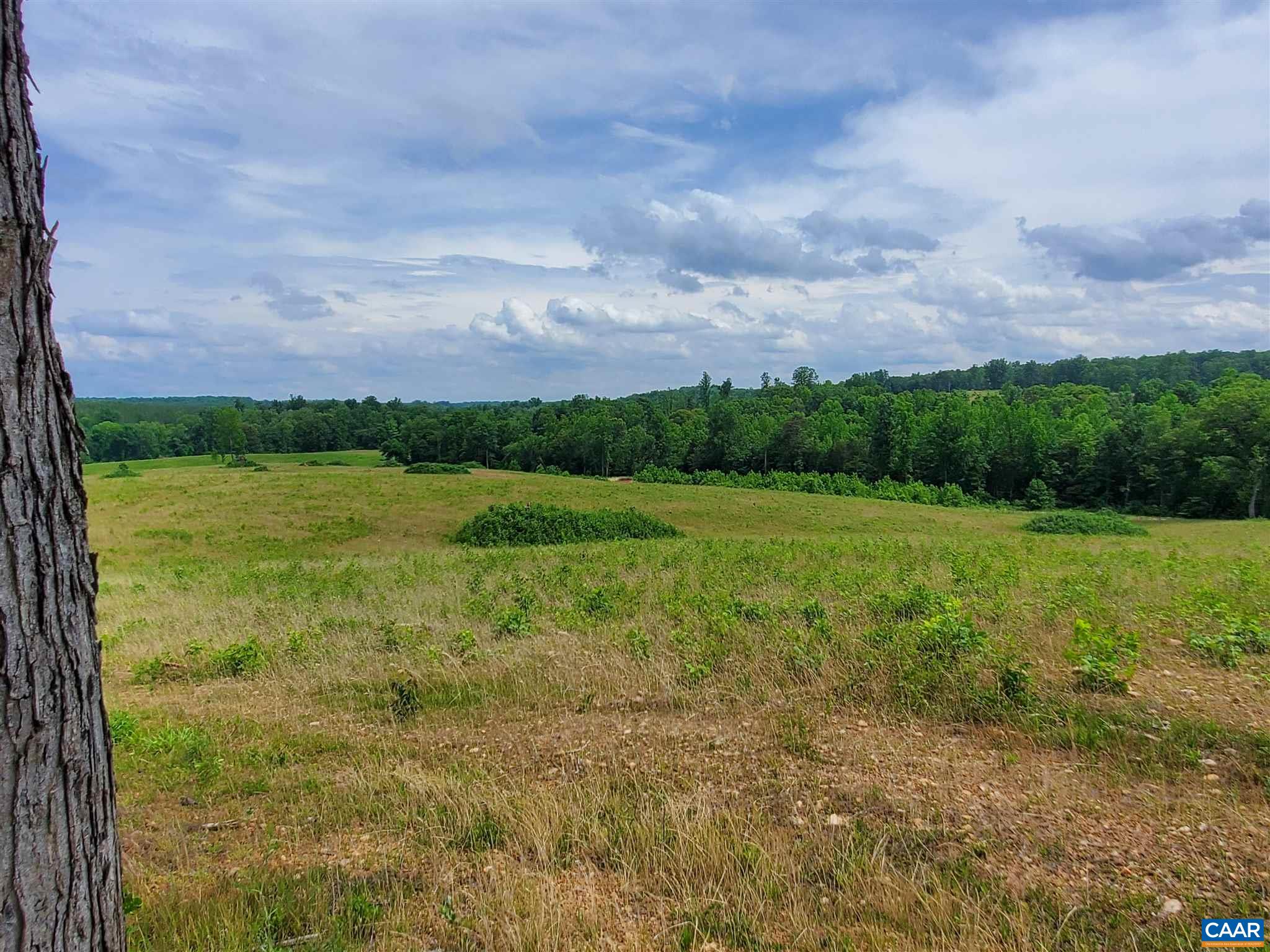 3060 Stage Junction Road Columbia, VA 23038 - Photo 28 of 34 a view of a field with an trees in the background