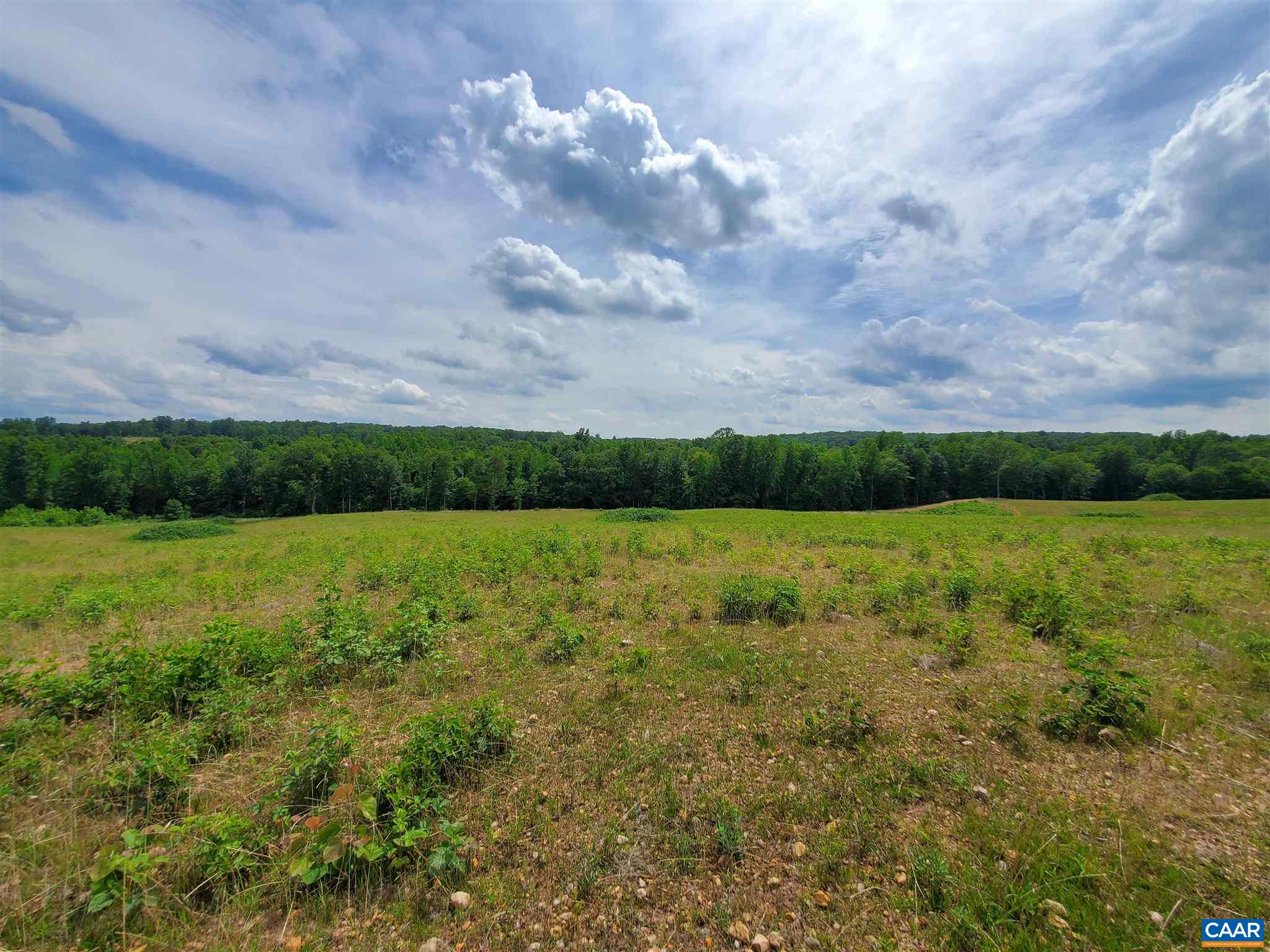 3060 Stage Junction Road Columbia, VA 23038 - Photo 33 of 34 a view of a green field with an trees