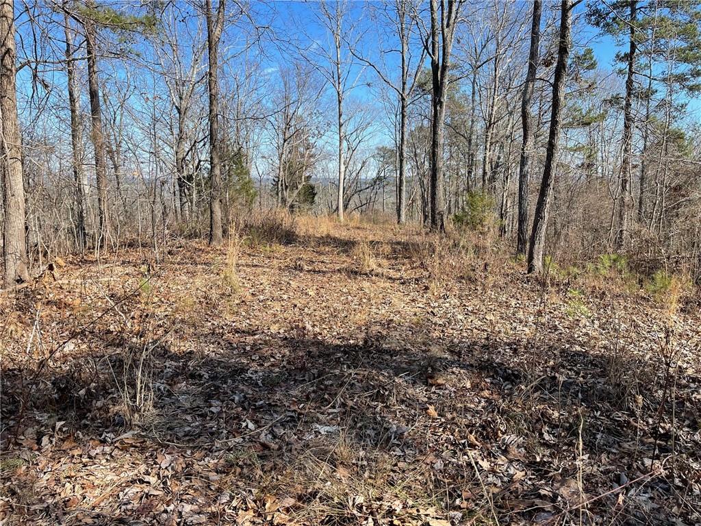 A Johnson Lake Road, Unit 0A Cedartown, GA 30125 - Photo 8 of 19 a view of a yard with lots of bushes